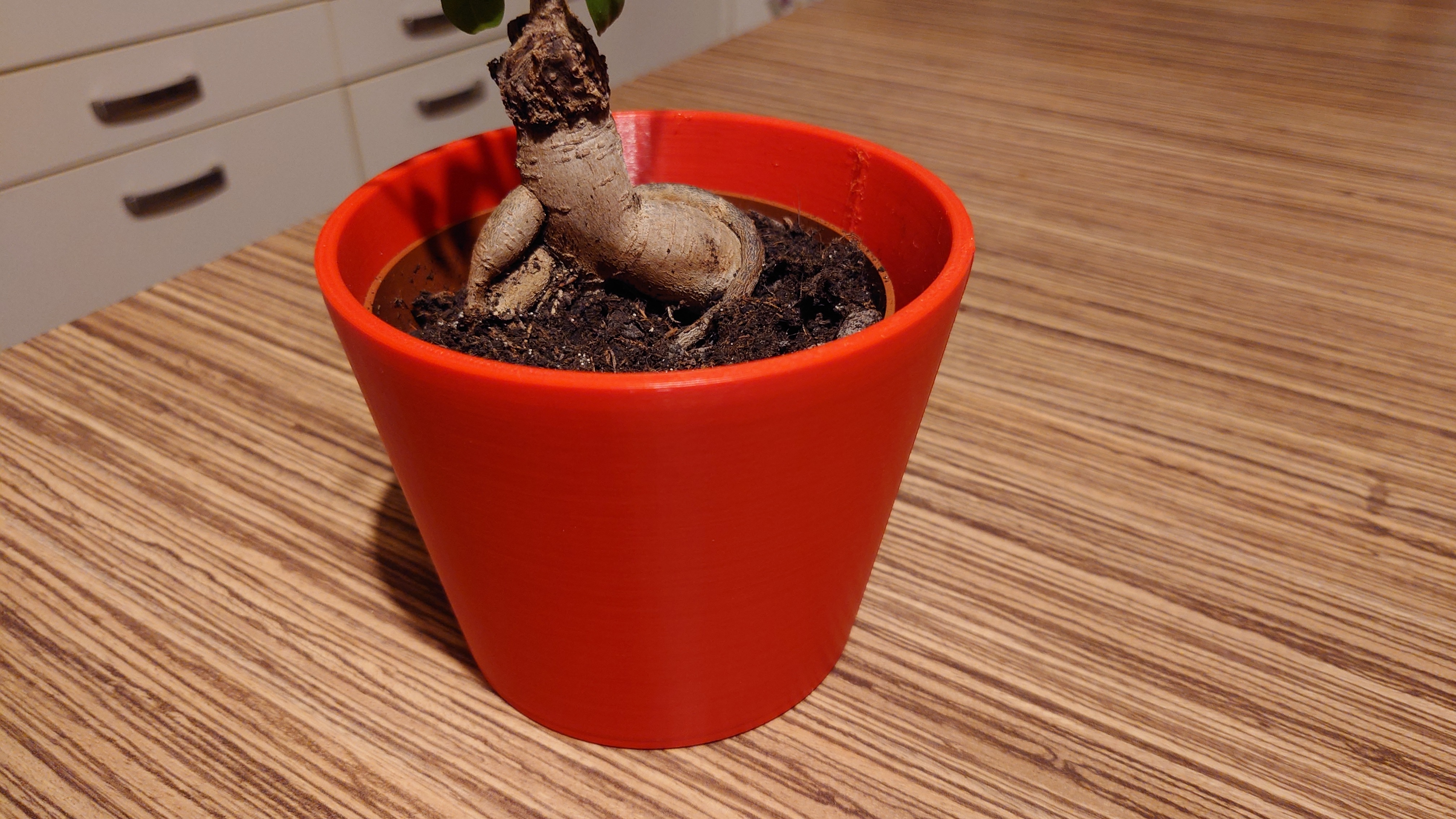 Elegance in Simplicity Flowerpot