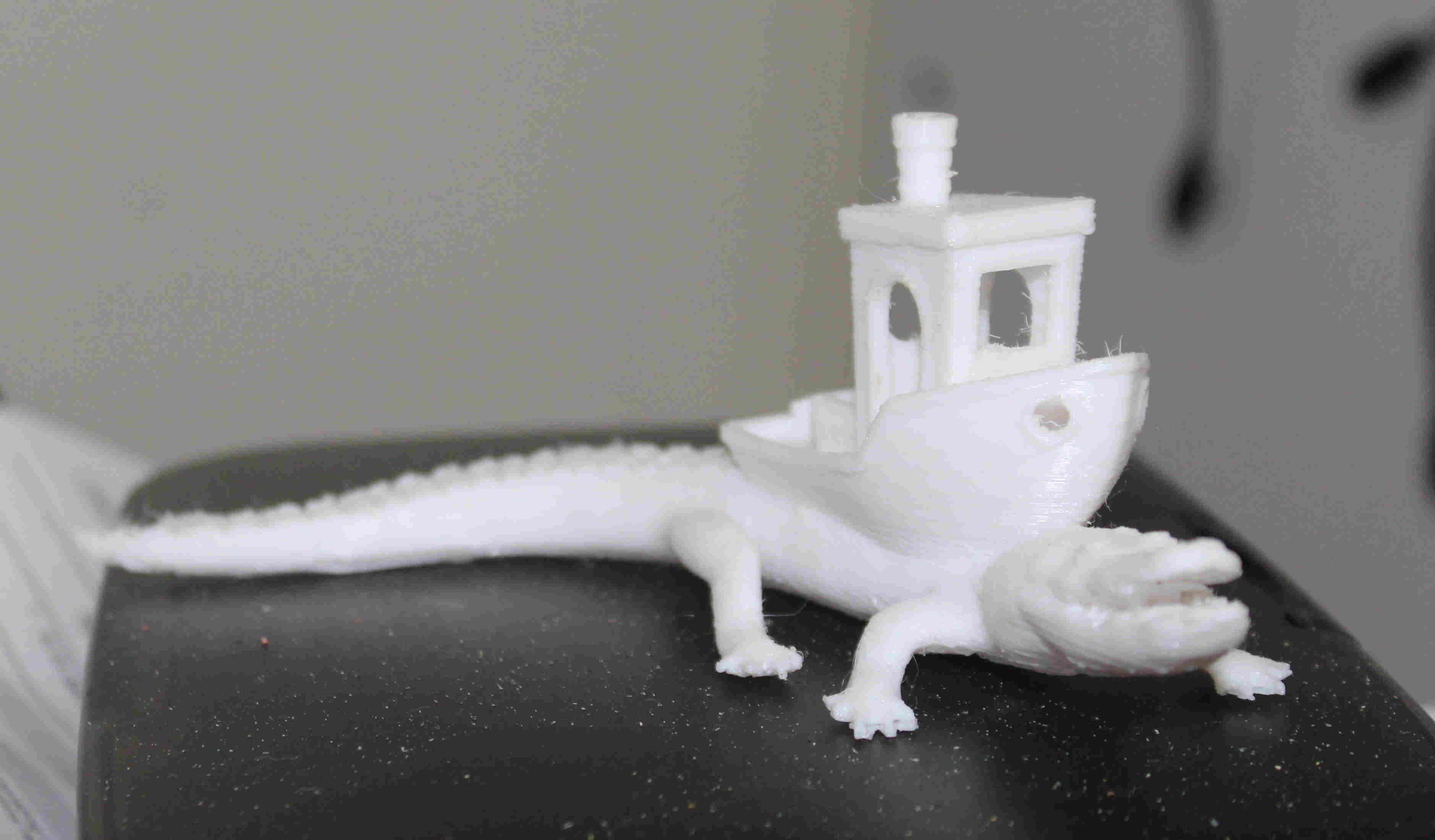 Alligator Benchy