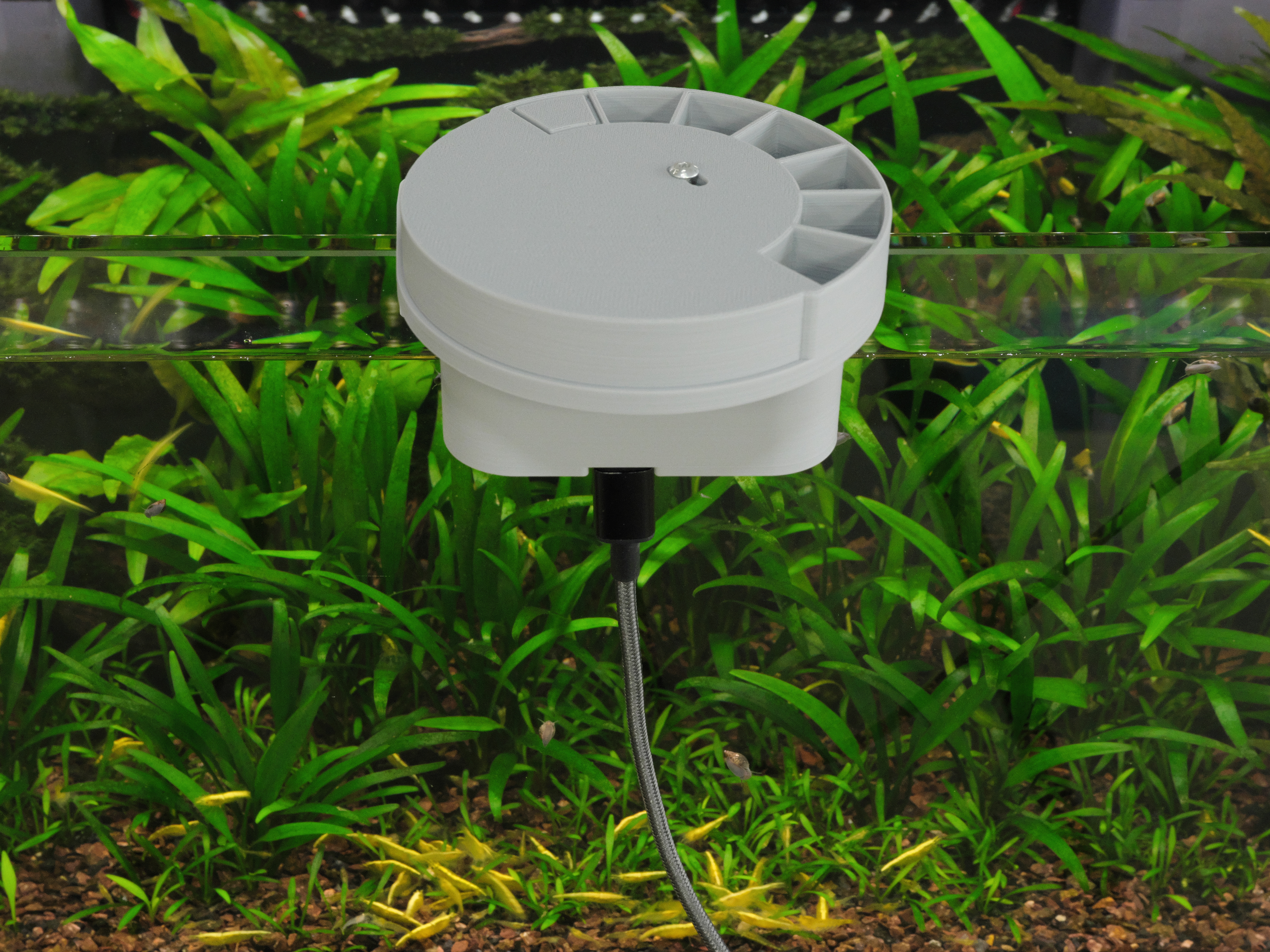 Automated Precision Fish Feeder with WiFi