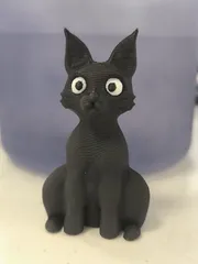 Sitting cat