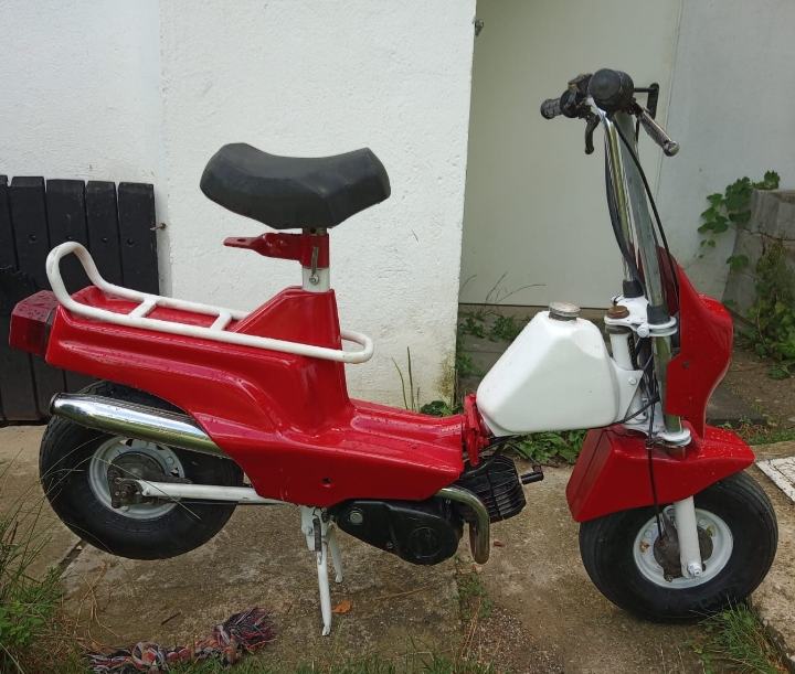 tomos tori