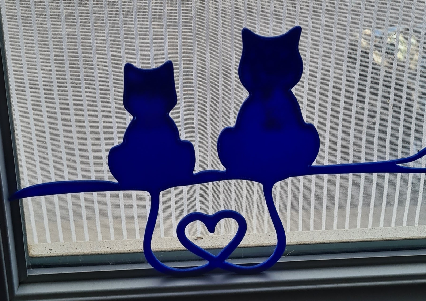 Cat Heart - Coeur de chat