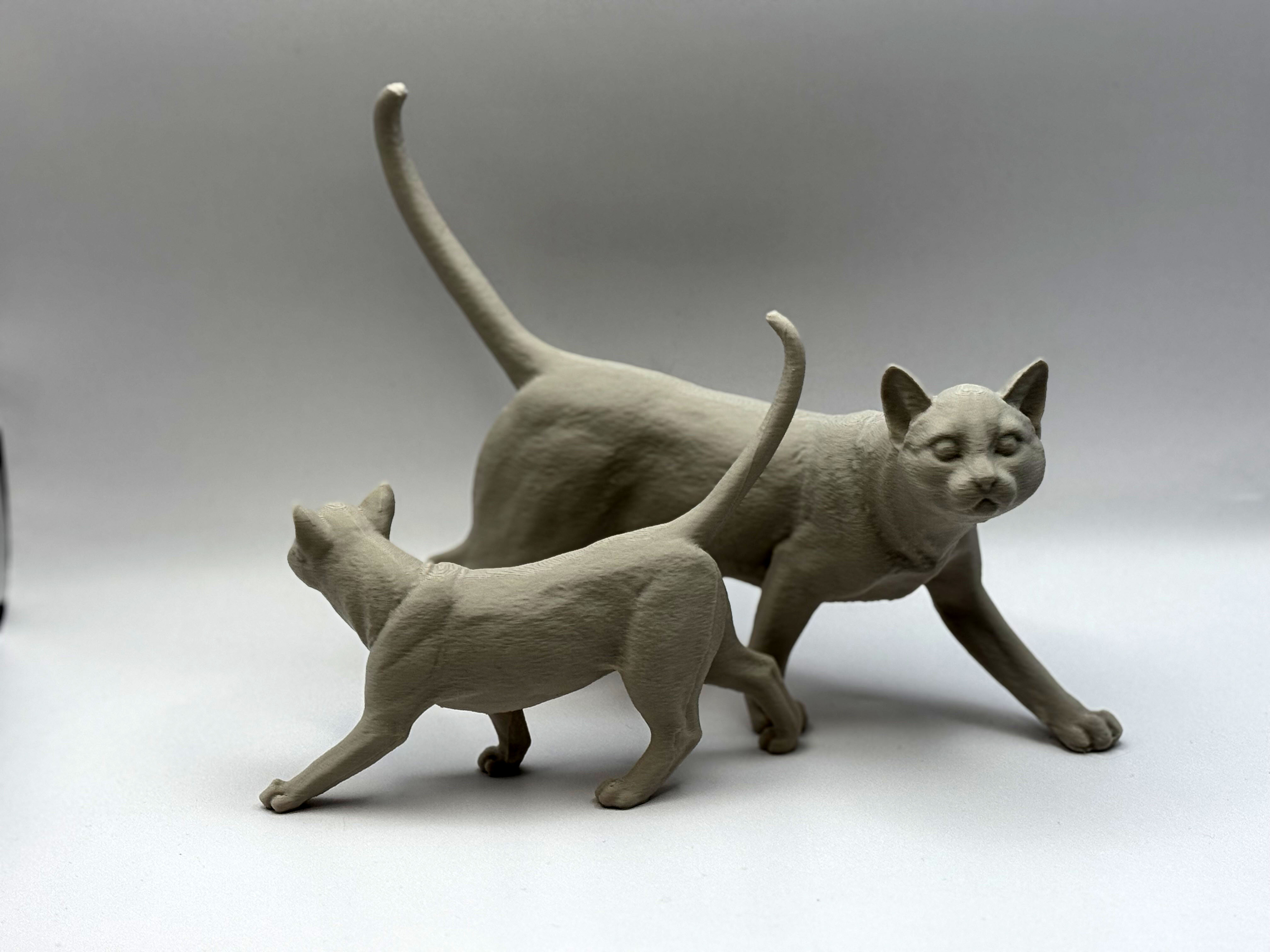 Miniatura 2 do modelo 3D Realistic Cat / Kitten
