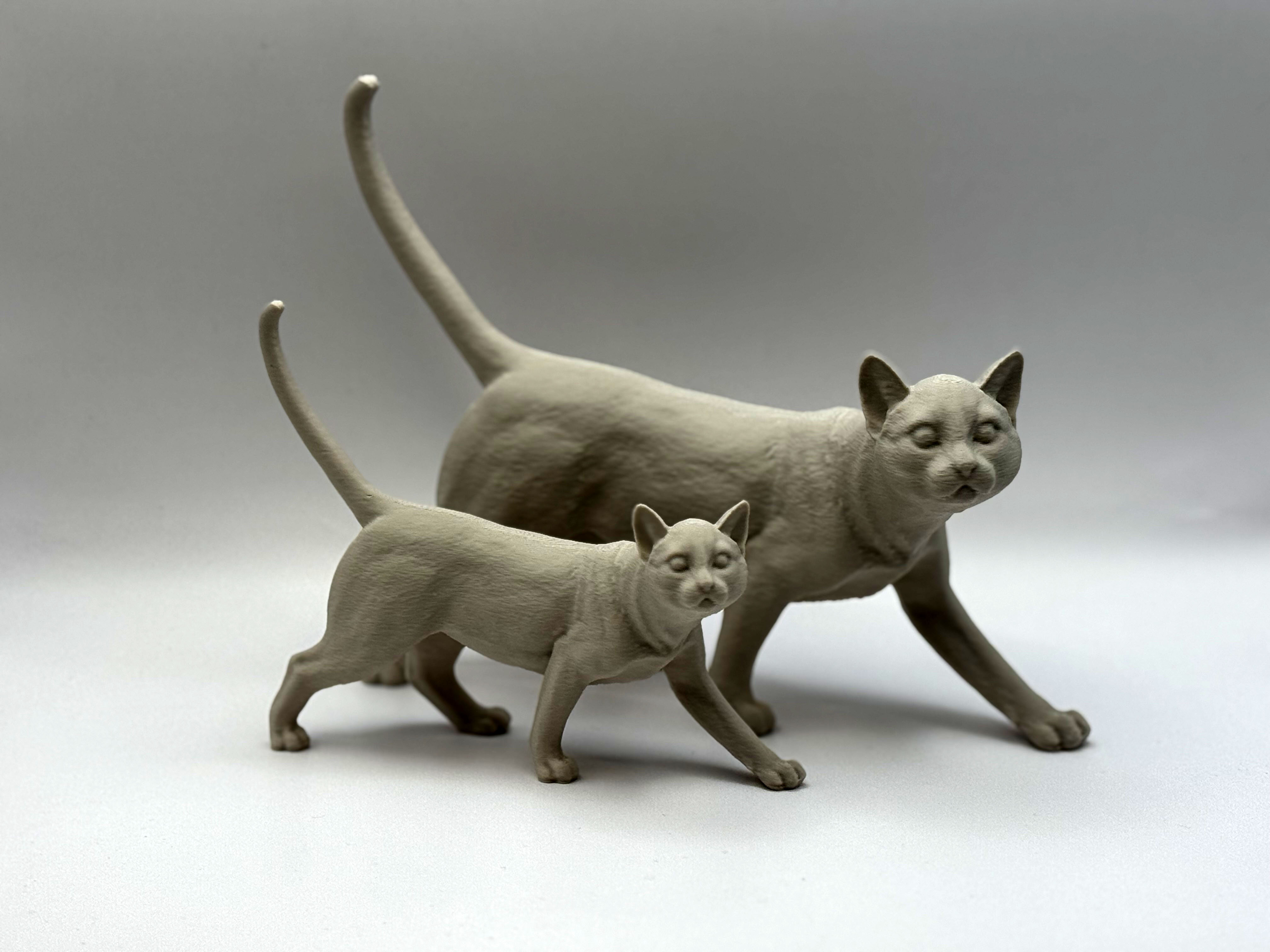 Realistic Cat / Kitten