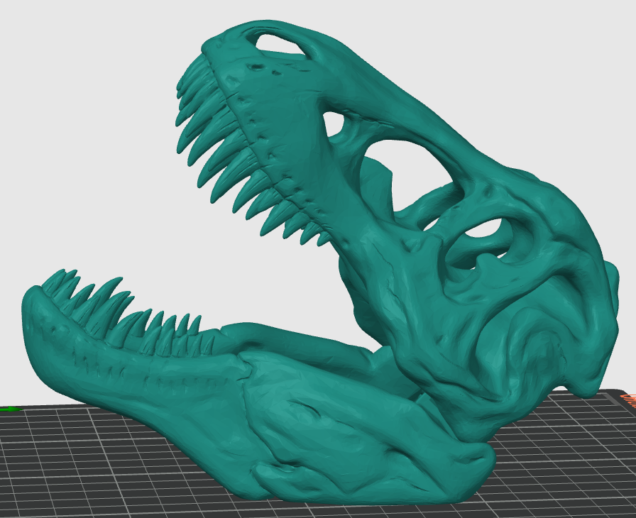 T REX SKULL [best 3d print ]