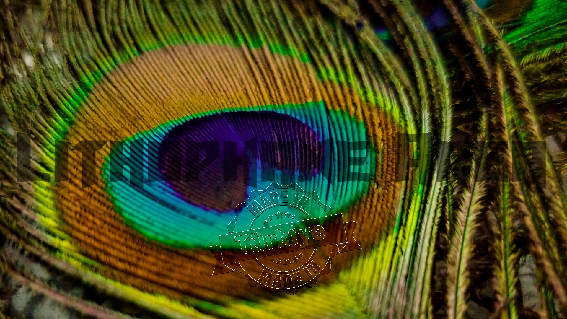 Renkli Tavuskuşu Tüyü Lithophane