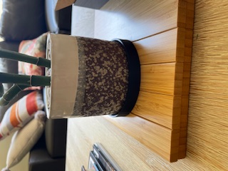 PLANT HOLDER