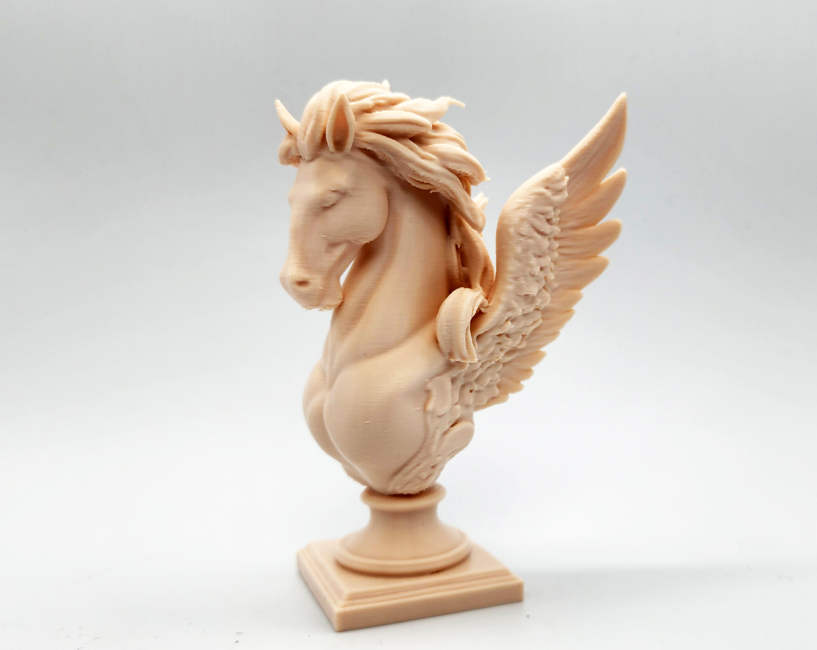 Pegasus Bust — miniatura 2