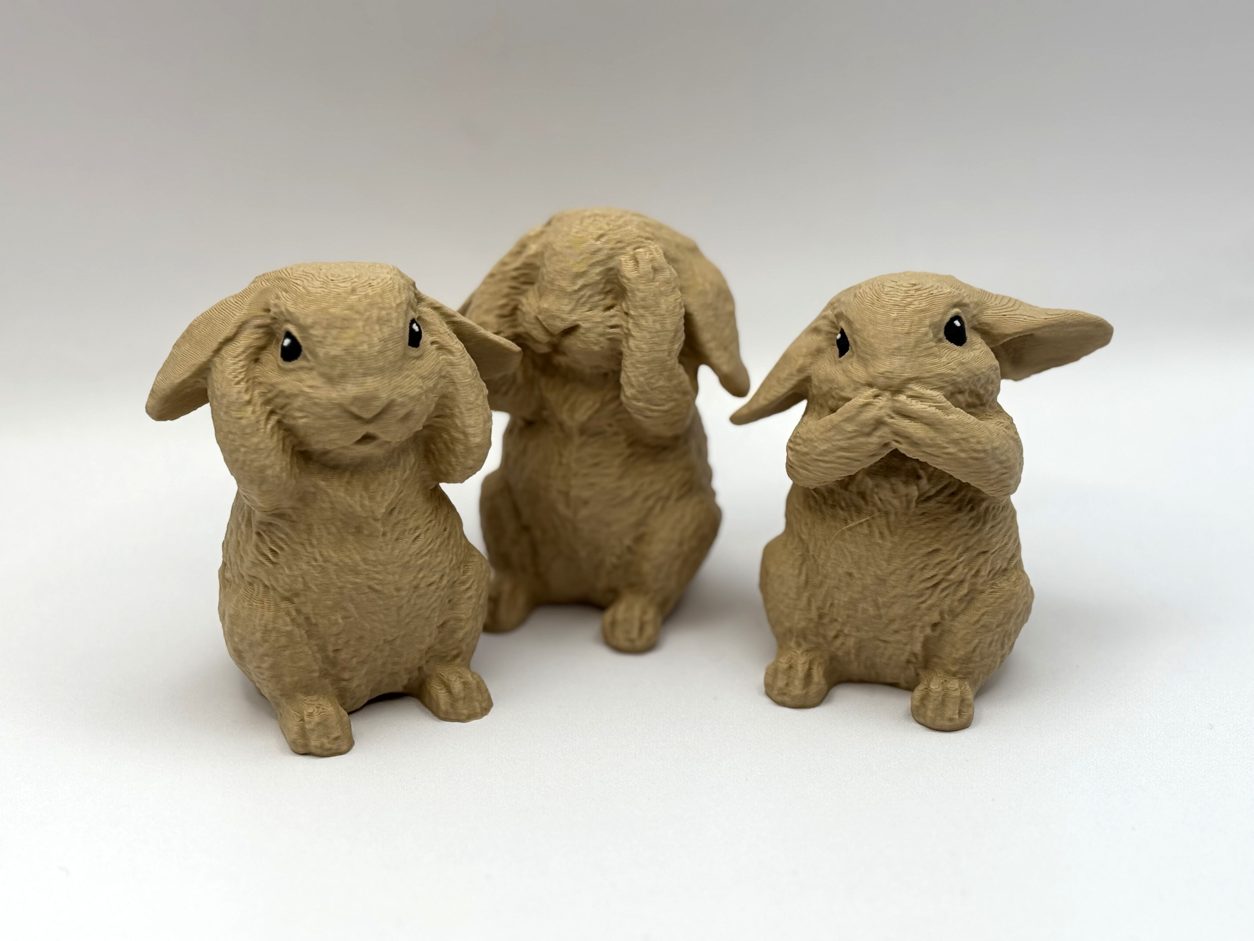 Three Cute Bunnies