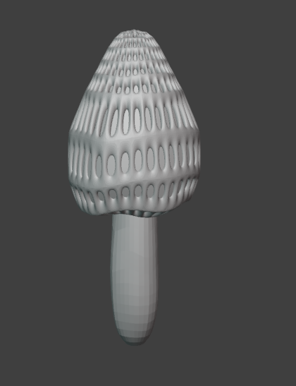 Morel Mushroom