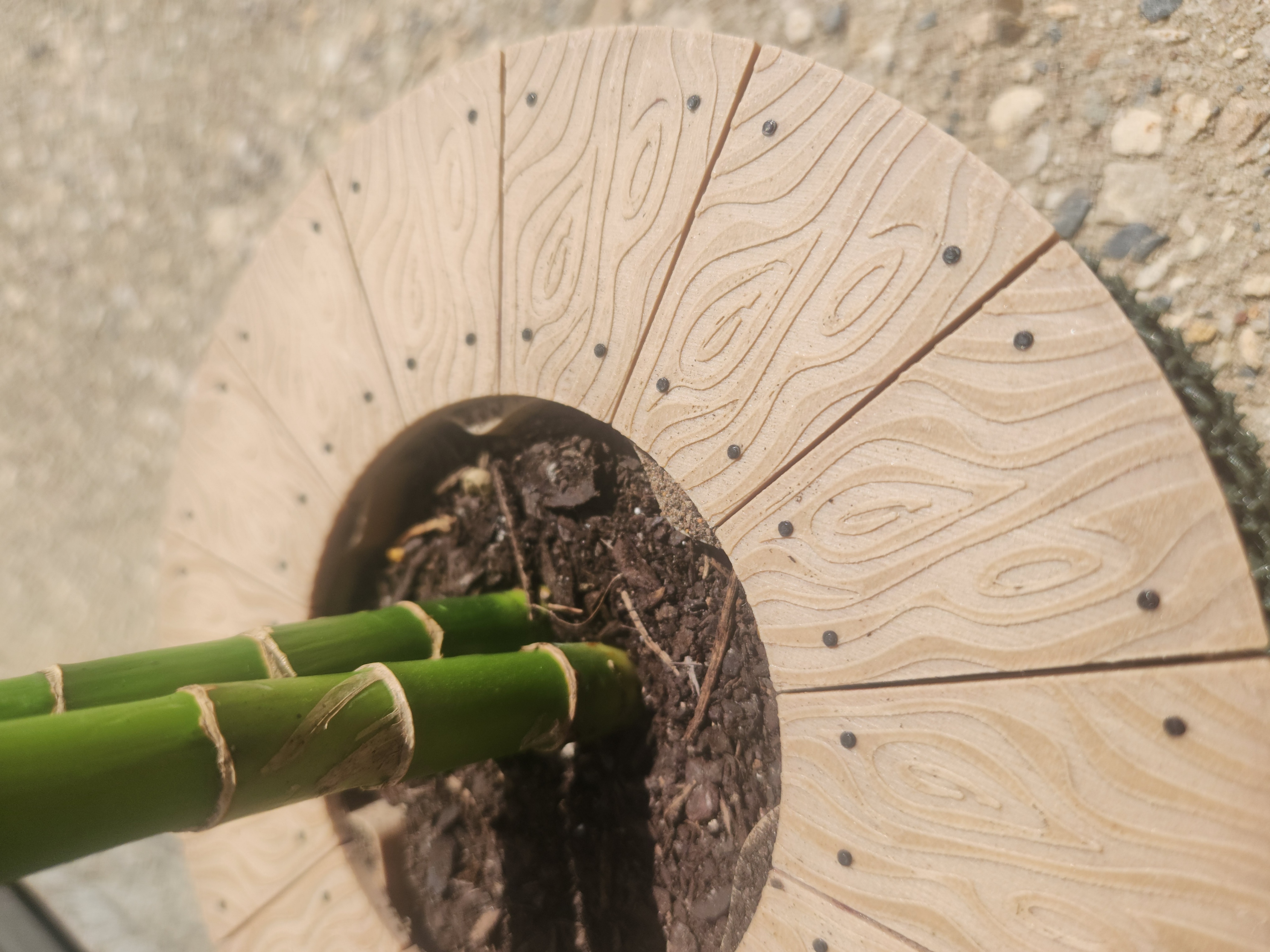 Miniatura 3 do modelo 3D Tree Stump Planter