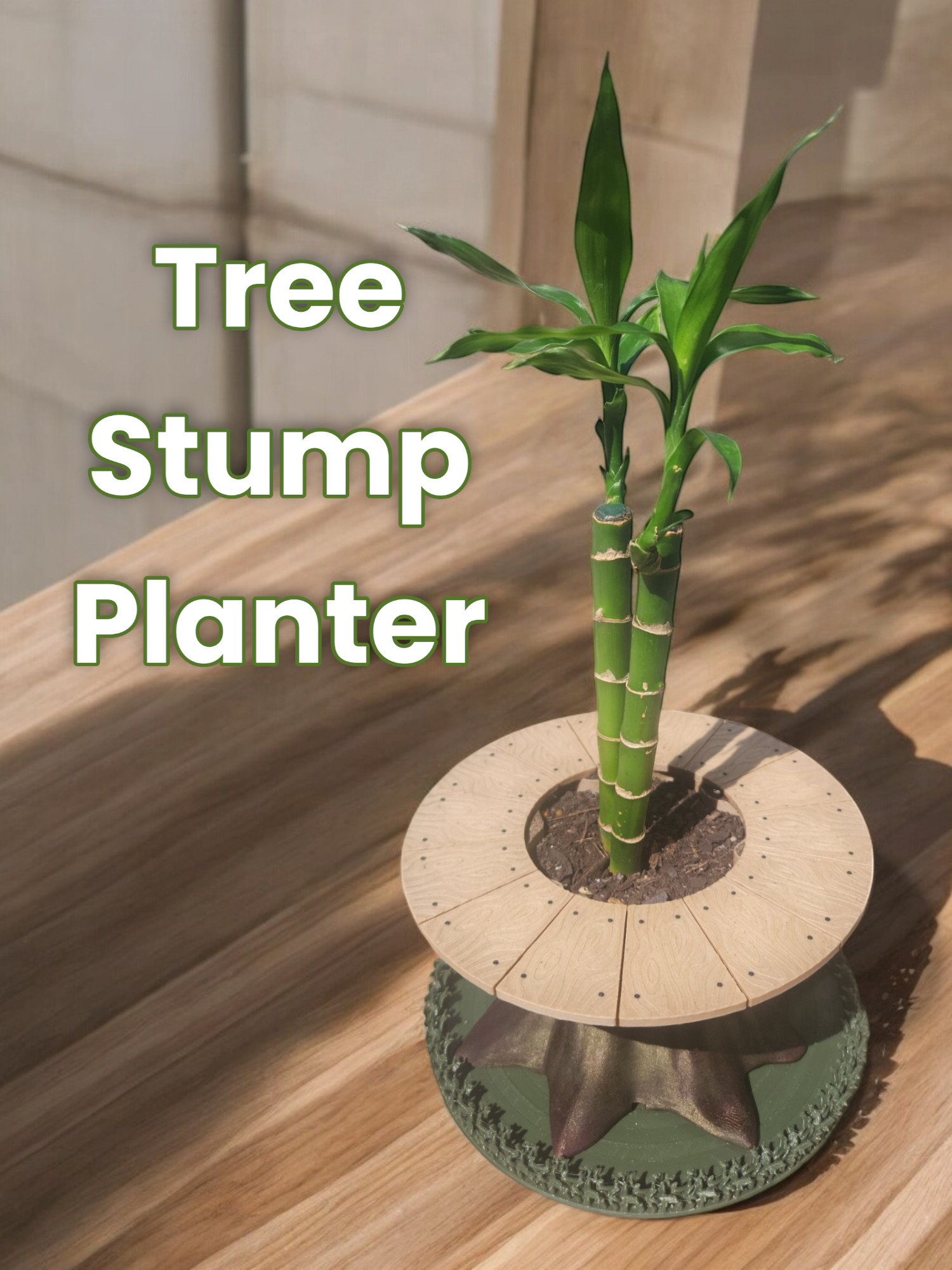 Tree Stump Planter