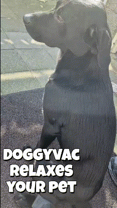 Doggyvac: The Ultimate Pet Hair and Massage Solution — miniatura 2