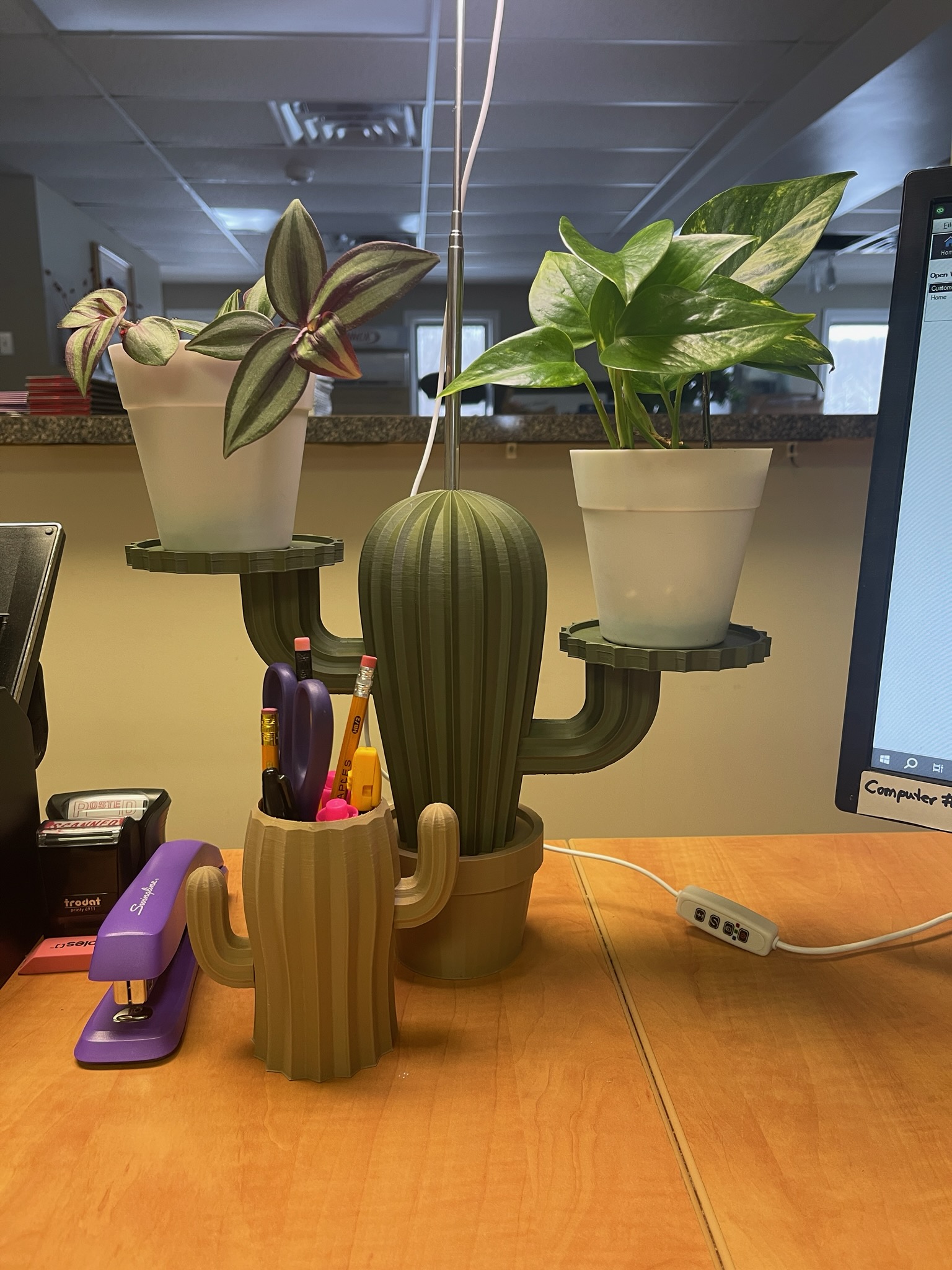 Cactus Plant Stand