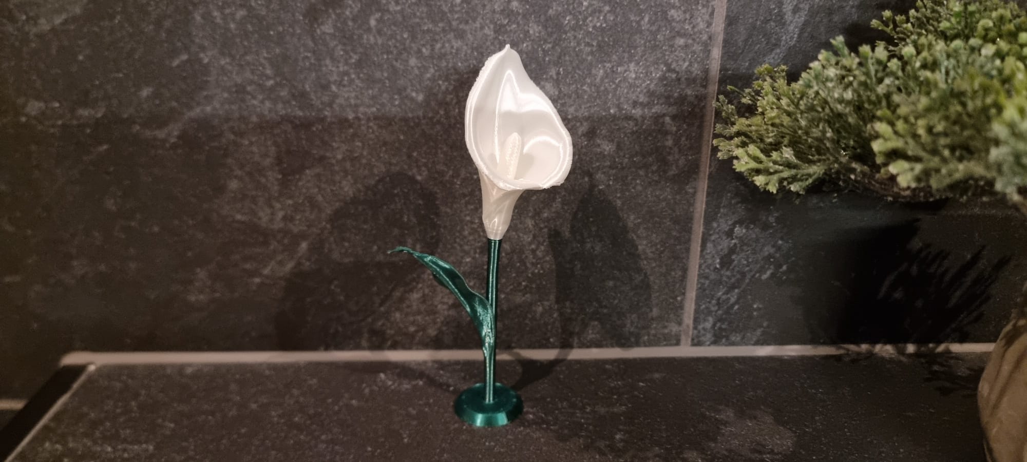Miniatura 2 do modelo 3D Calla Lily