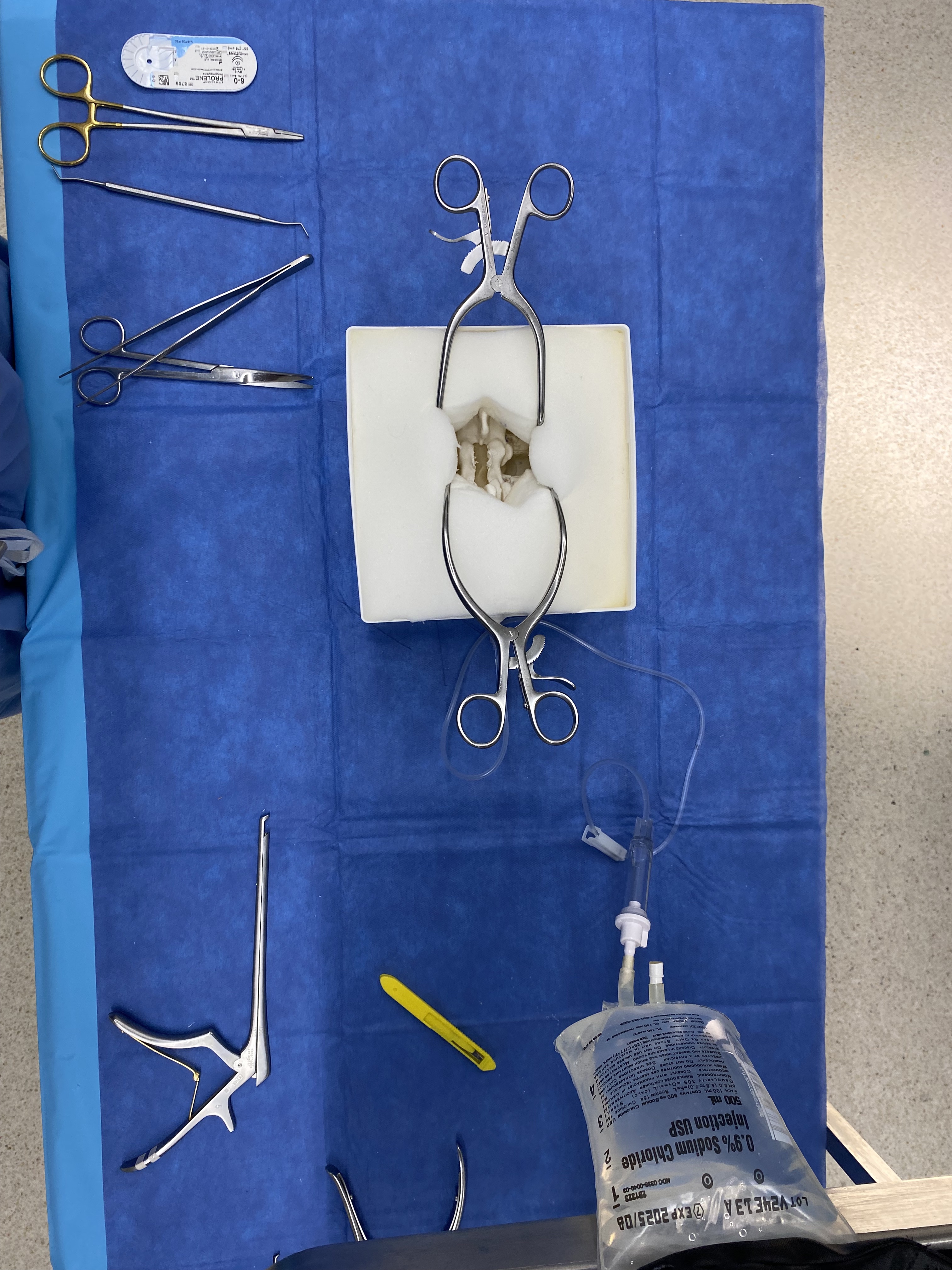 SpineBox for Durotomy Repair Simulation
