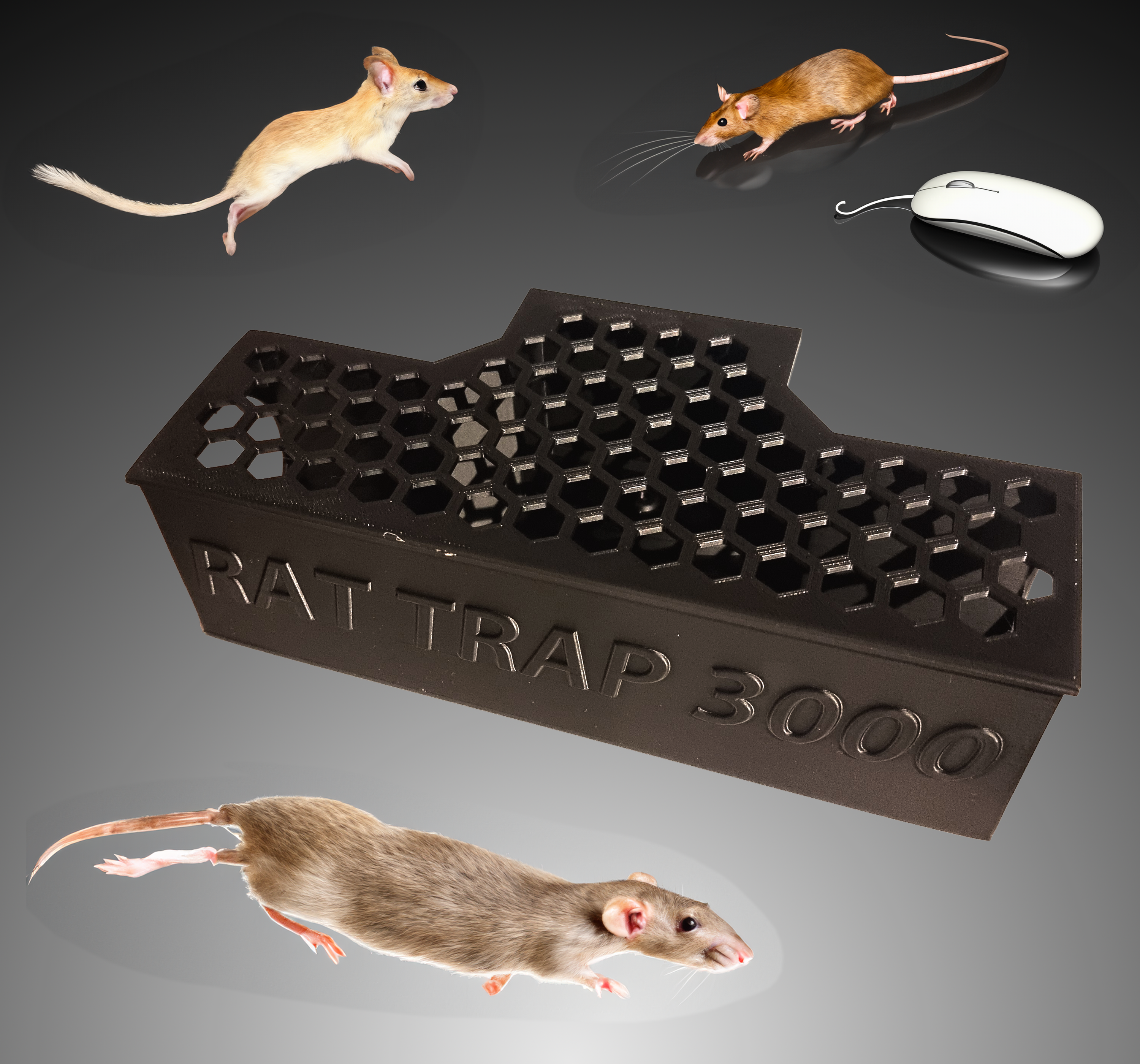 RAT Trap 3000 - Rodent Bait Station