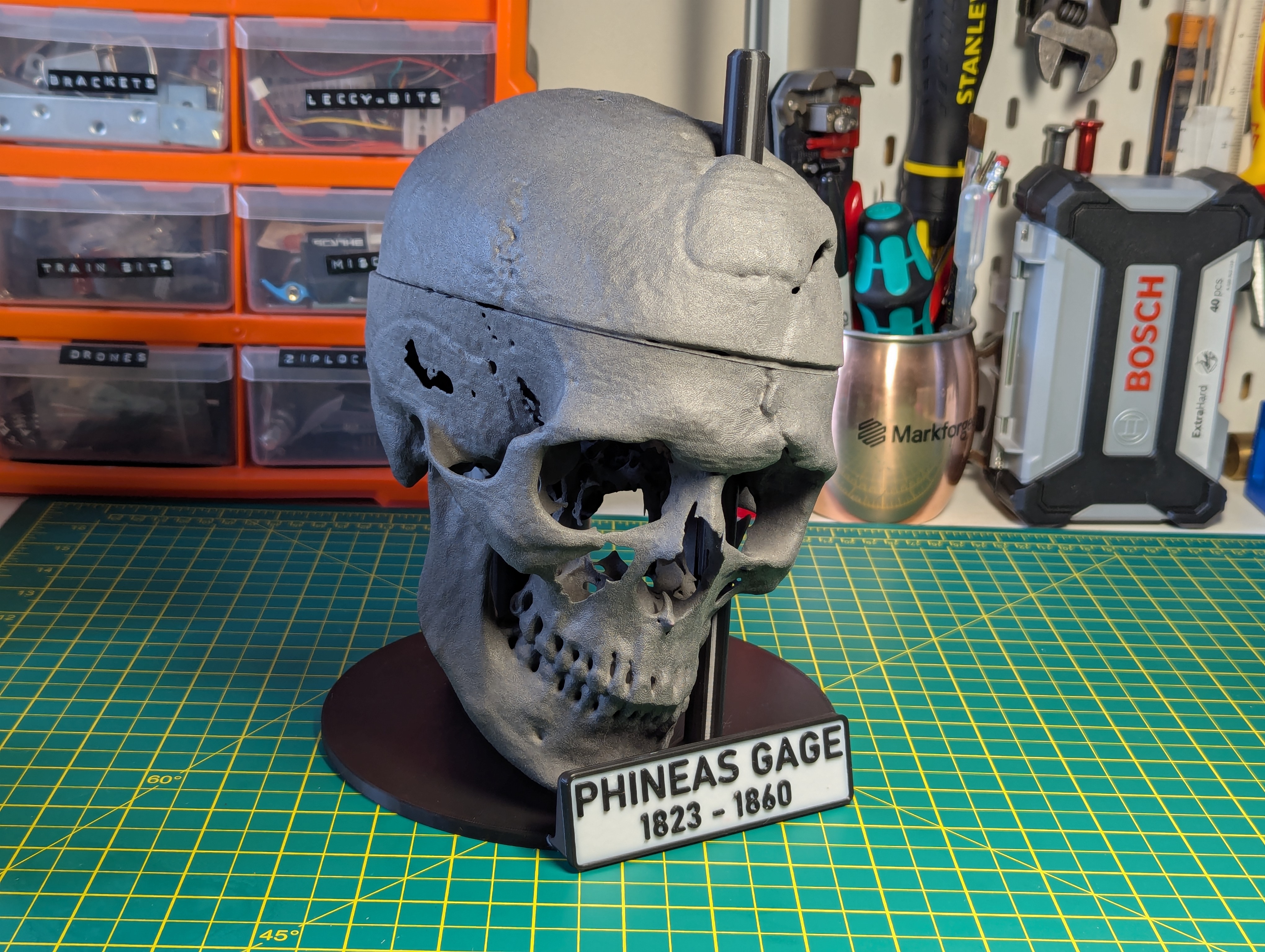 Display Stand for Phineas Gage's Skull