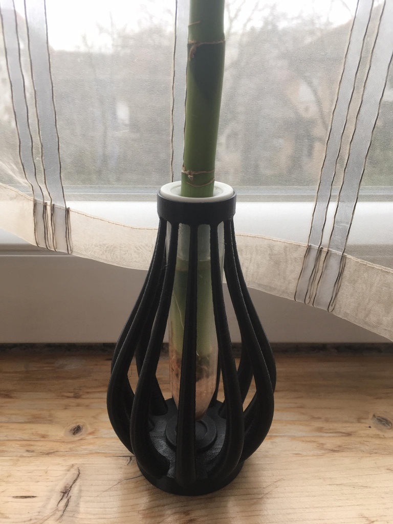 Lucky Bamboo Vase