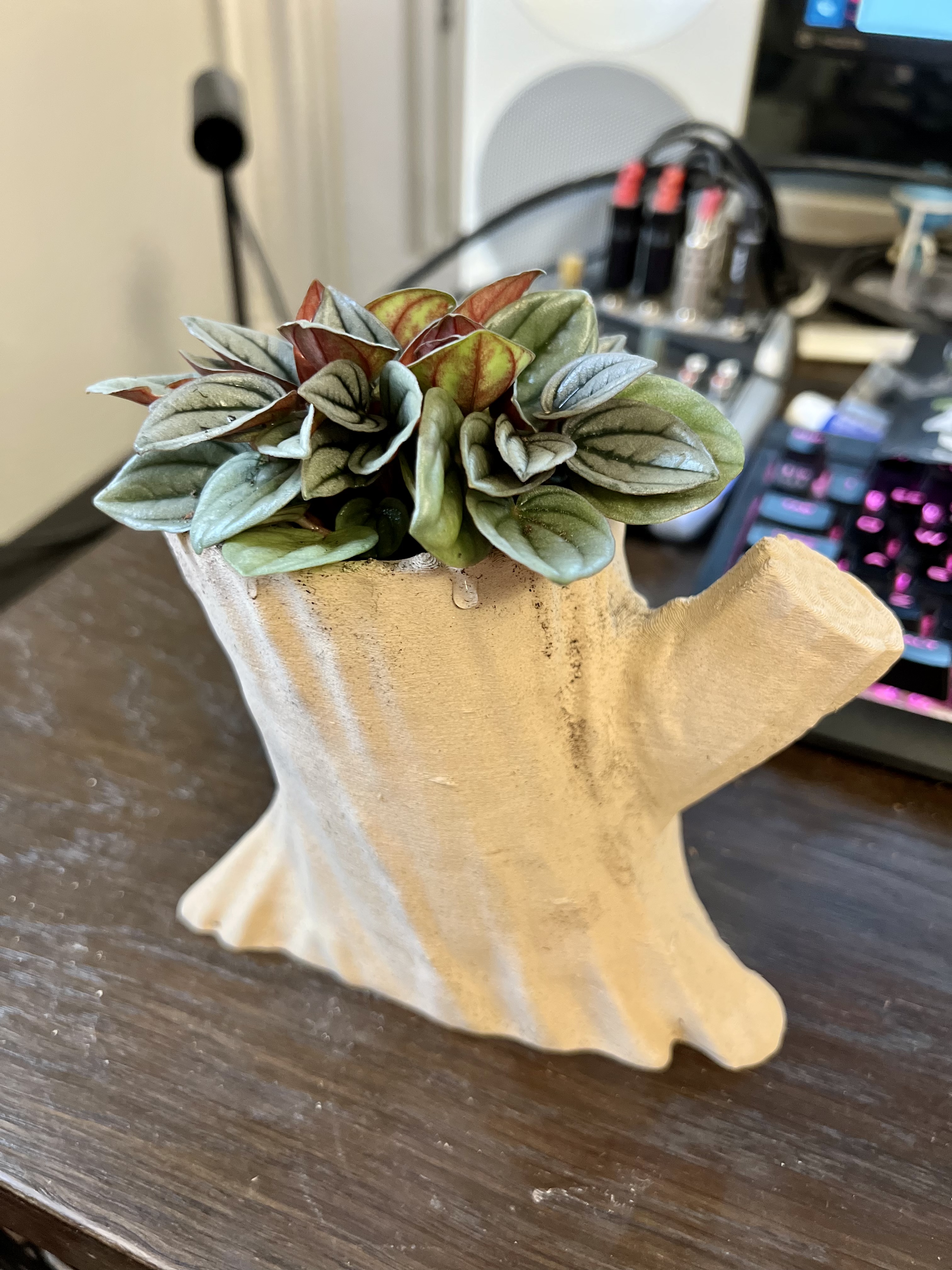 Miniatura 3 do modelo 3D Tree stump