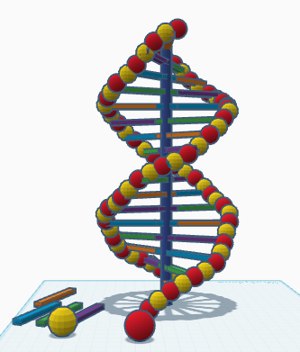 DNA model