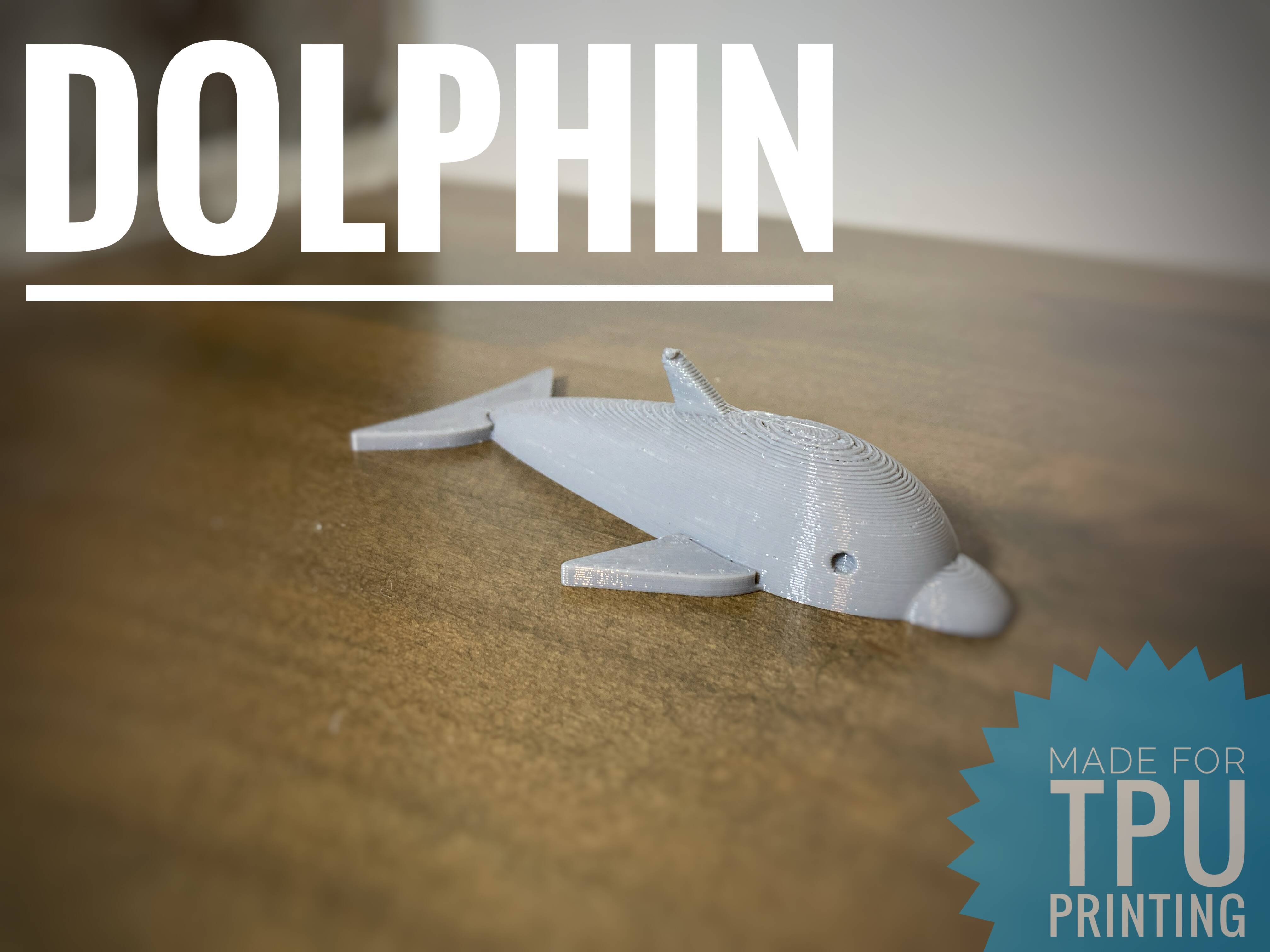 Dolphin - TPU