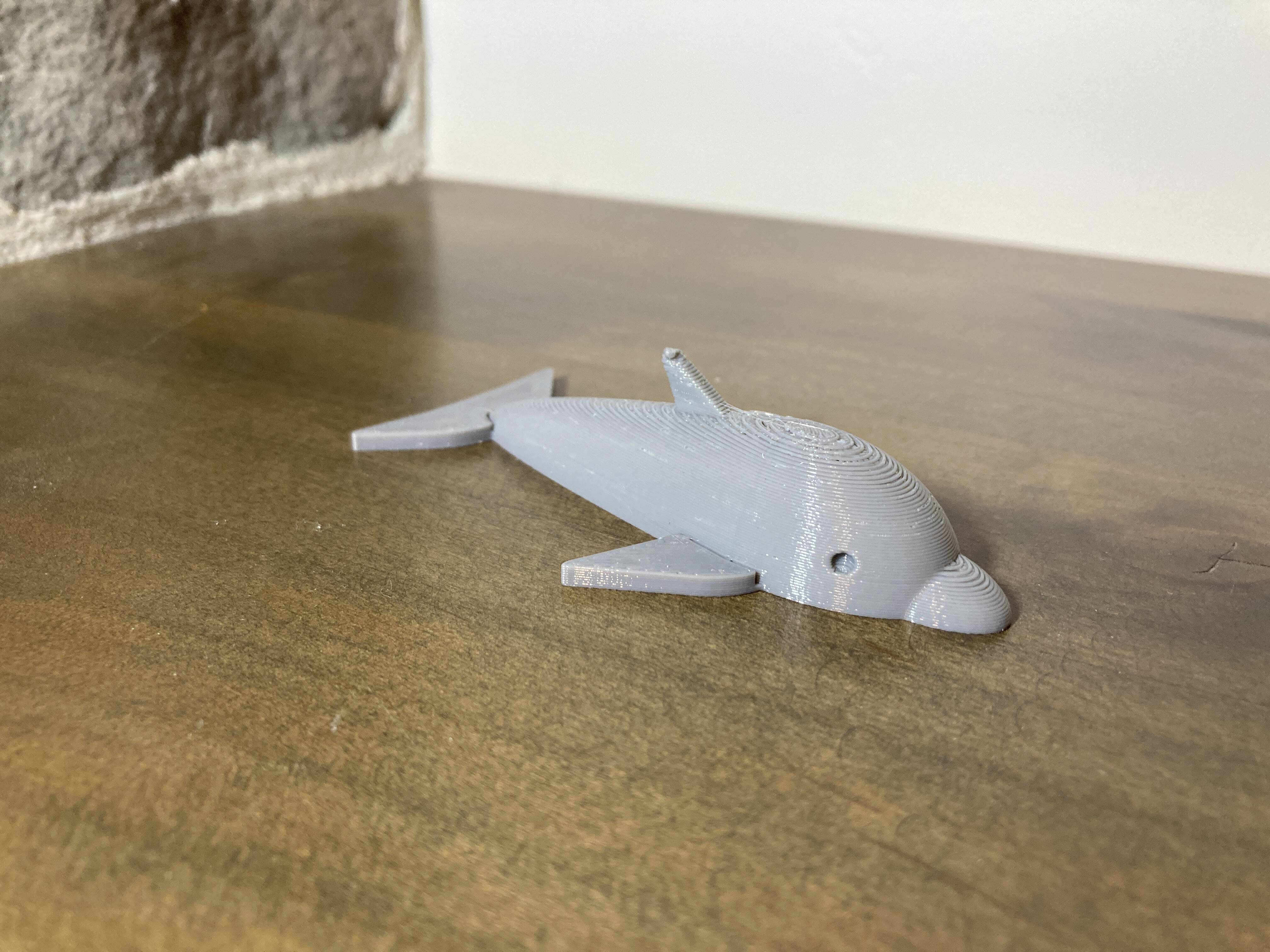 Dolphin - TPU — thumbnail 2