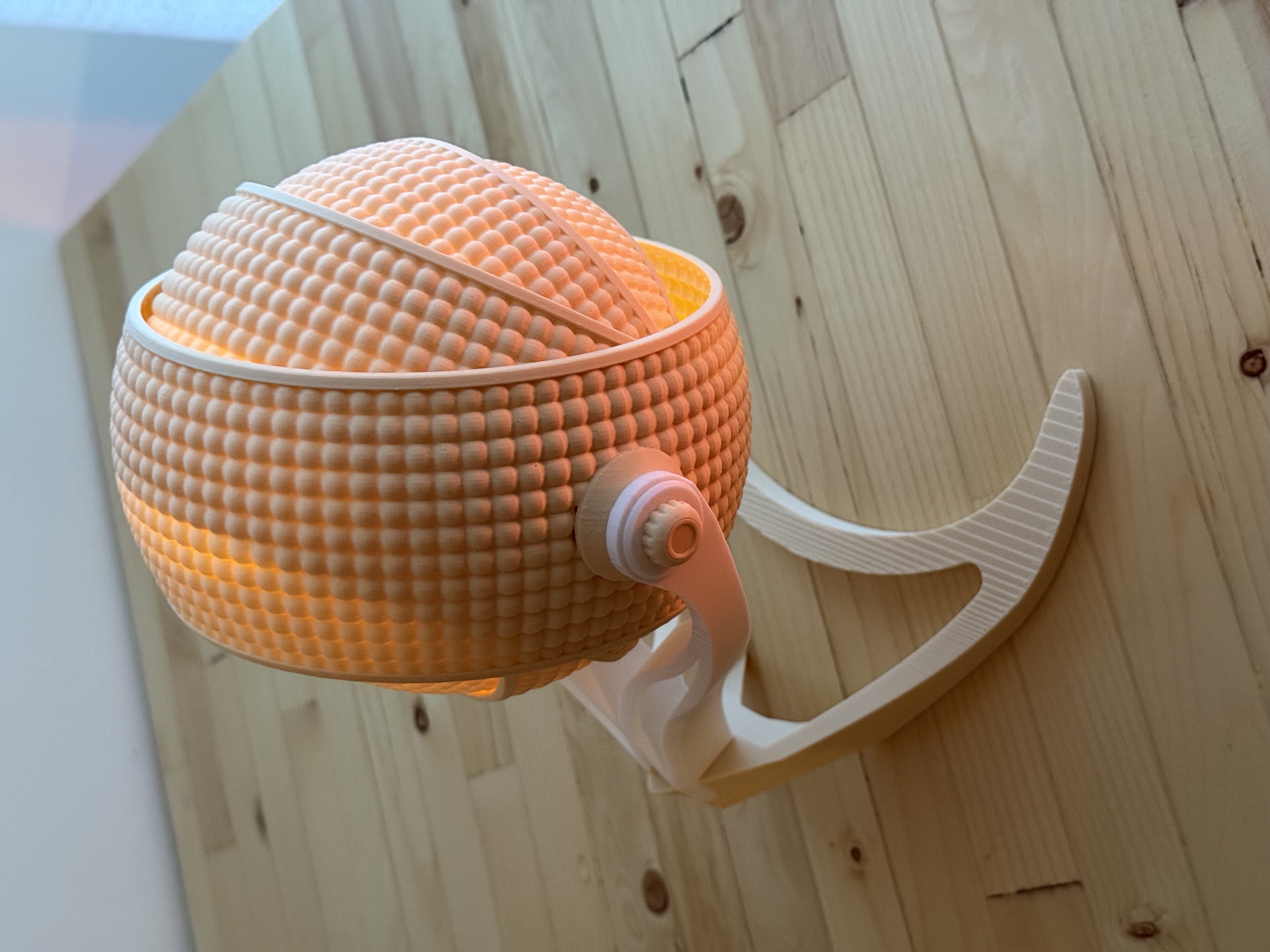 Armadillo — thumbnail 6