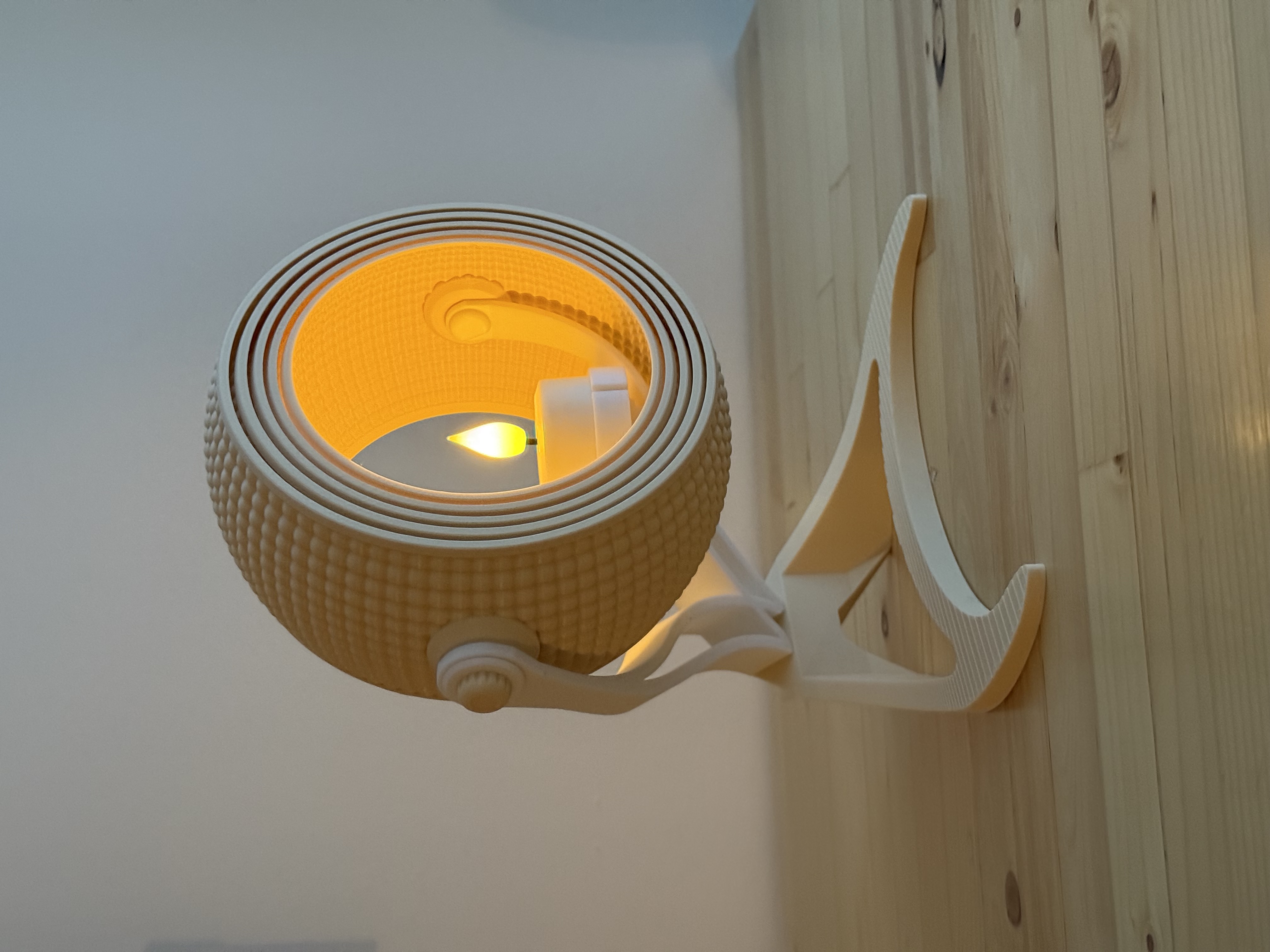 Armadillo — thumbnail 5