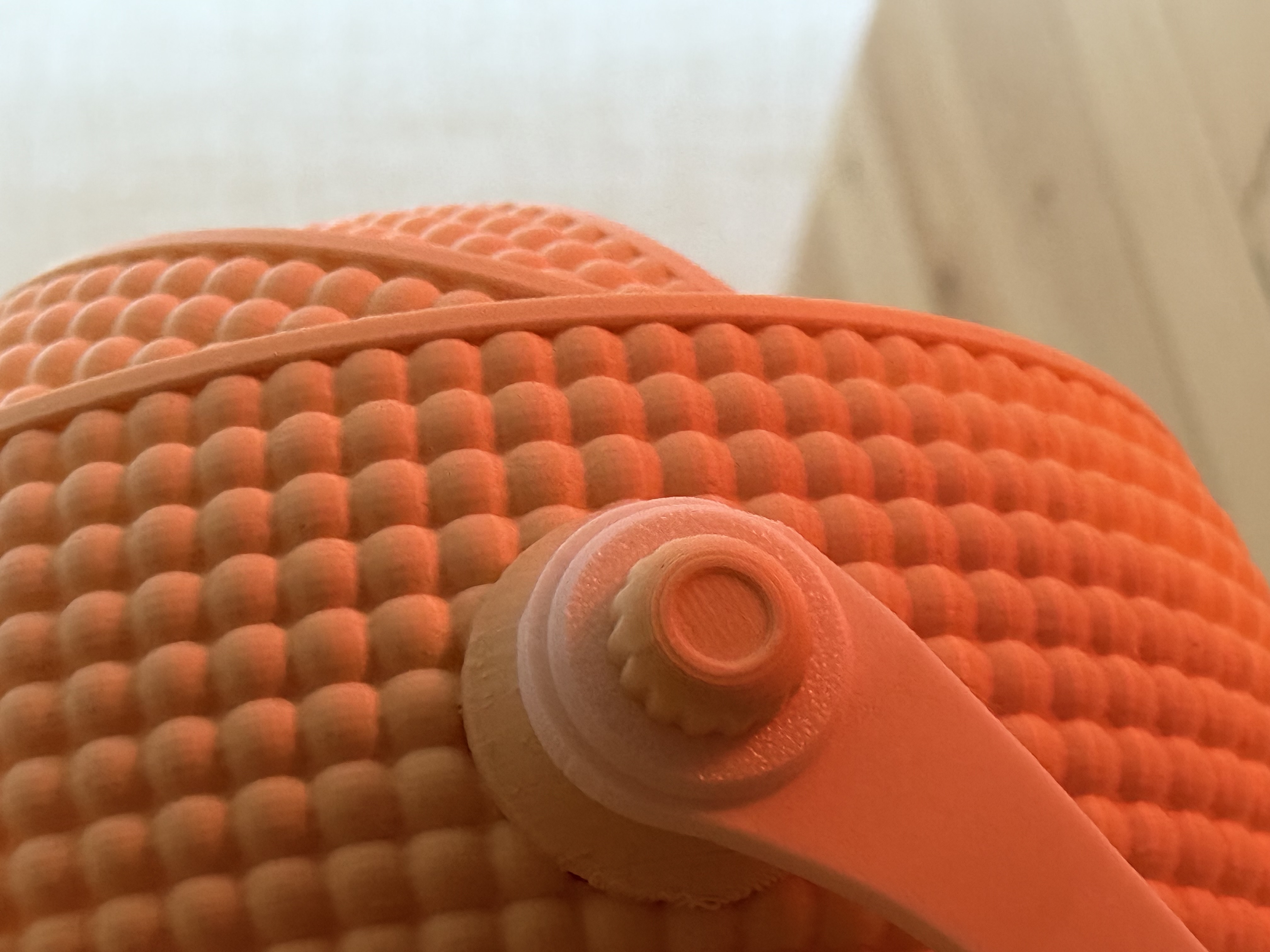 Armadillo — thumbnail 10