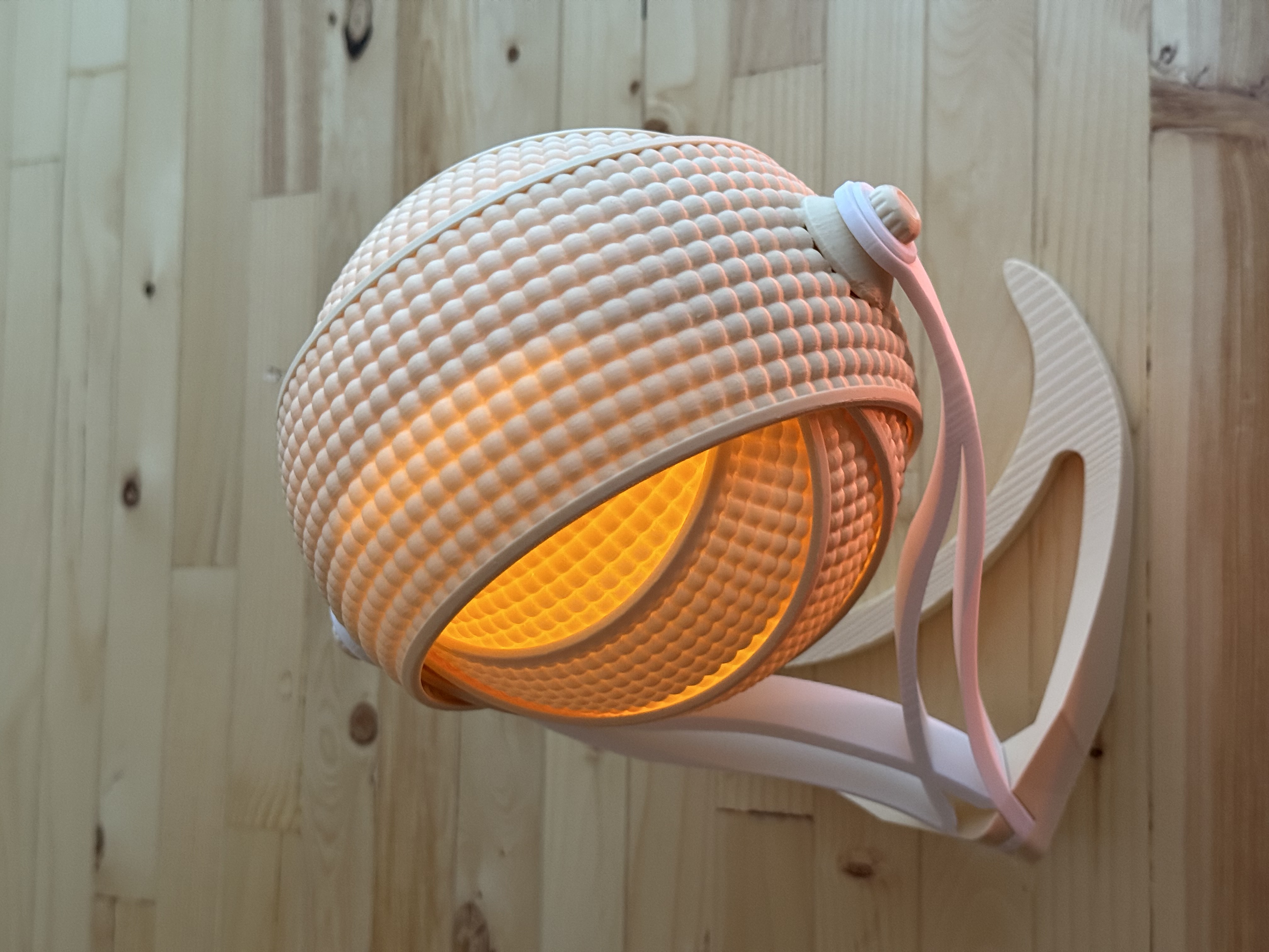 Armadillo — thumbnail 7