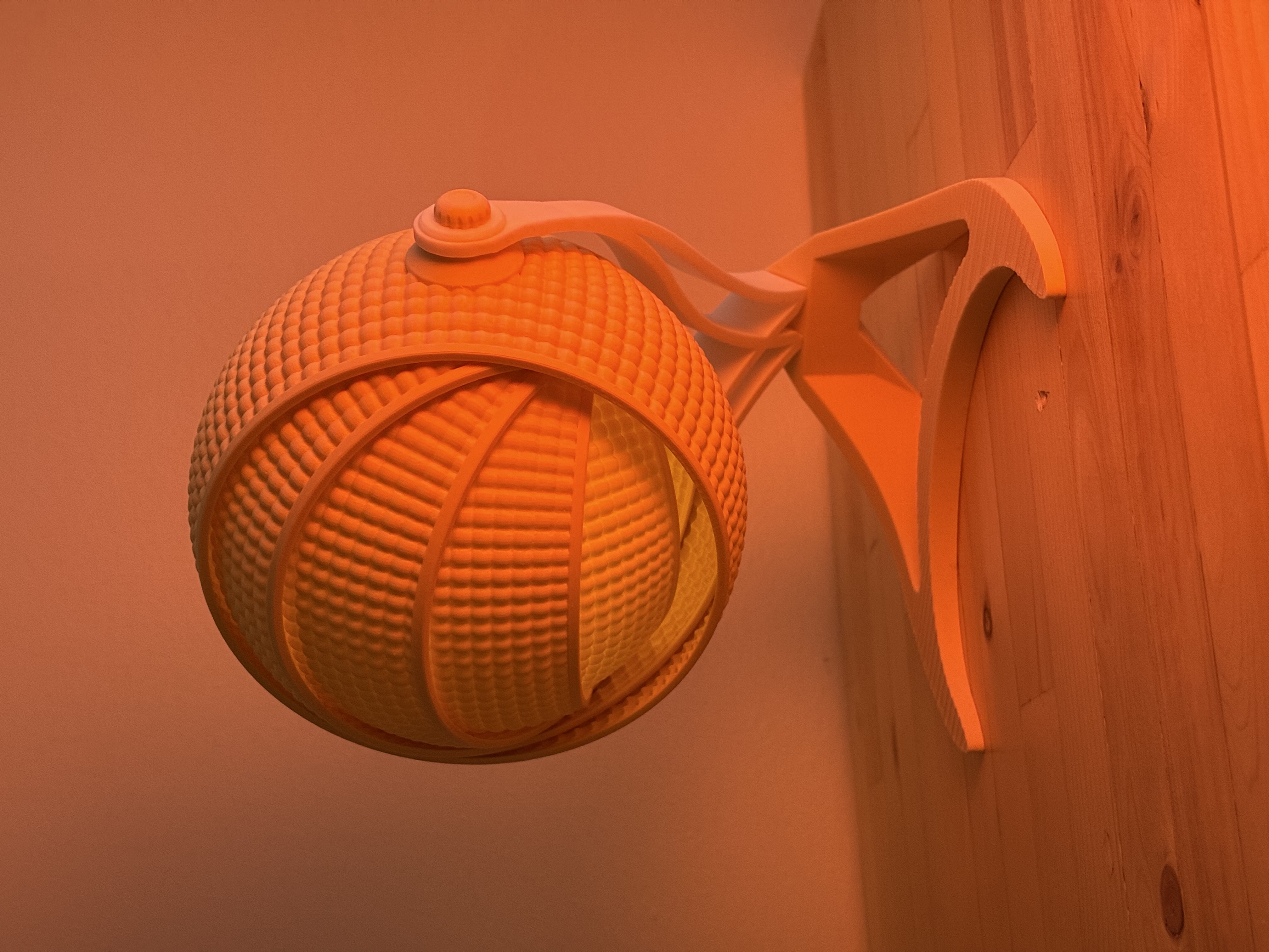 Armadillo — thumbnail 9