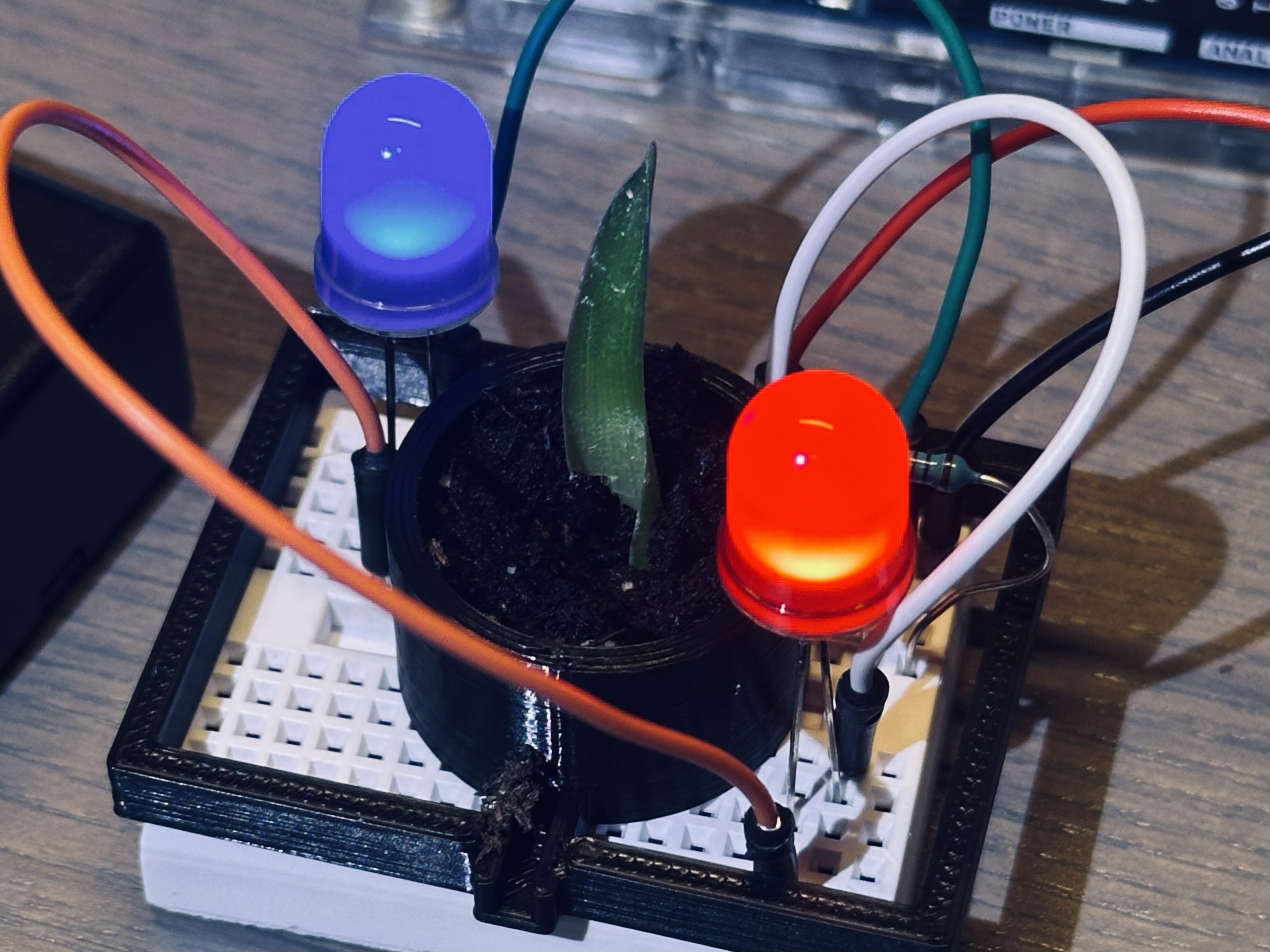 Breadboard Planter for Pet Plant - LED-enhanced
