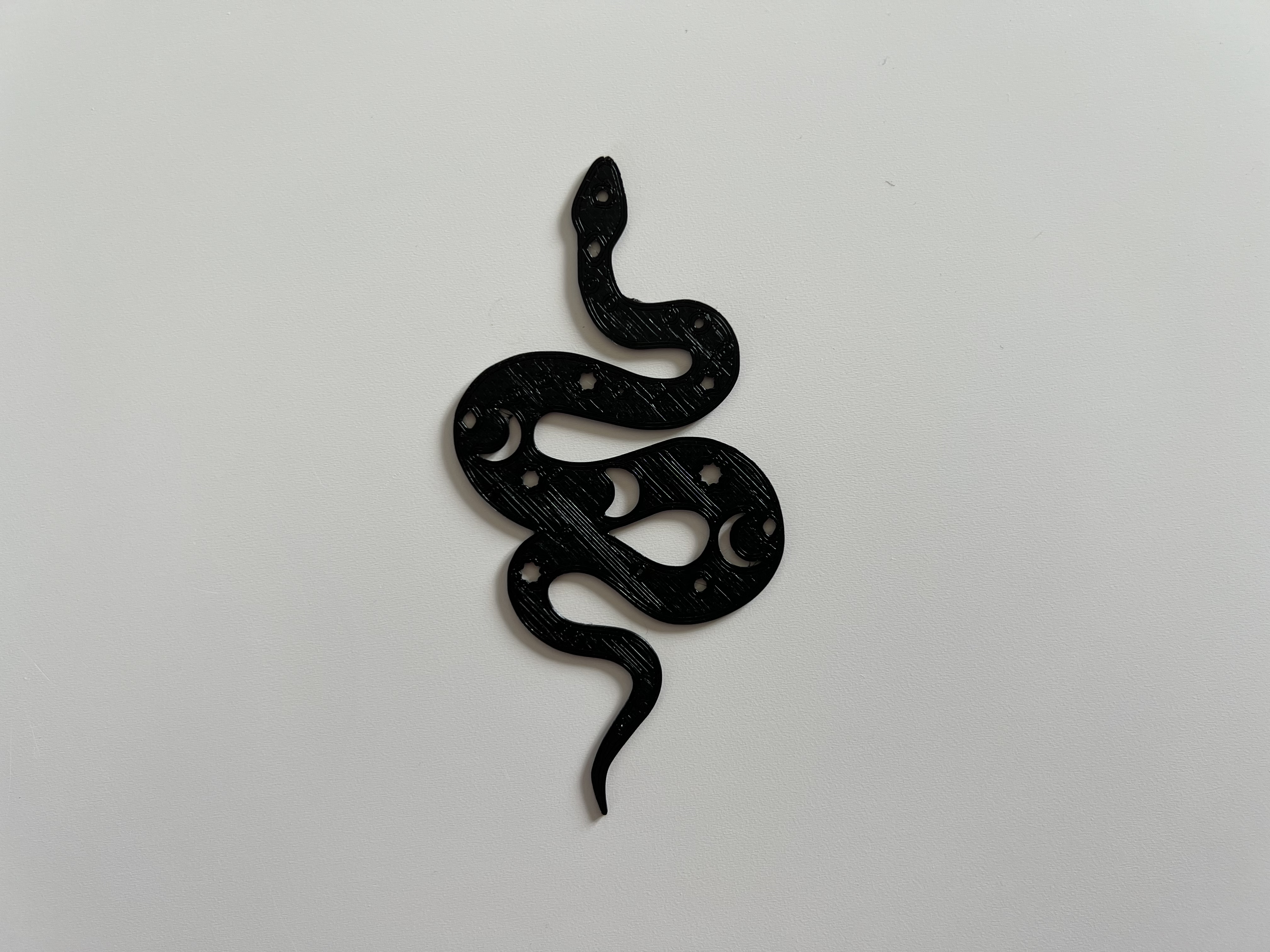 Snake Wall Art #1