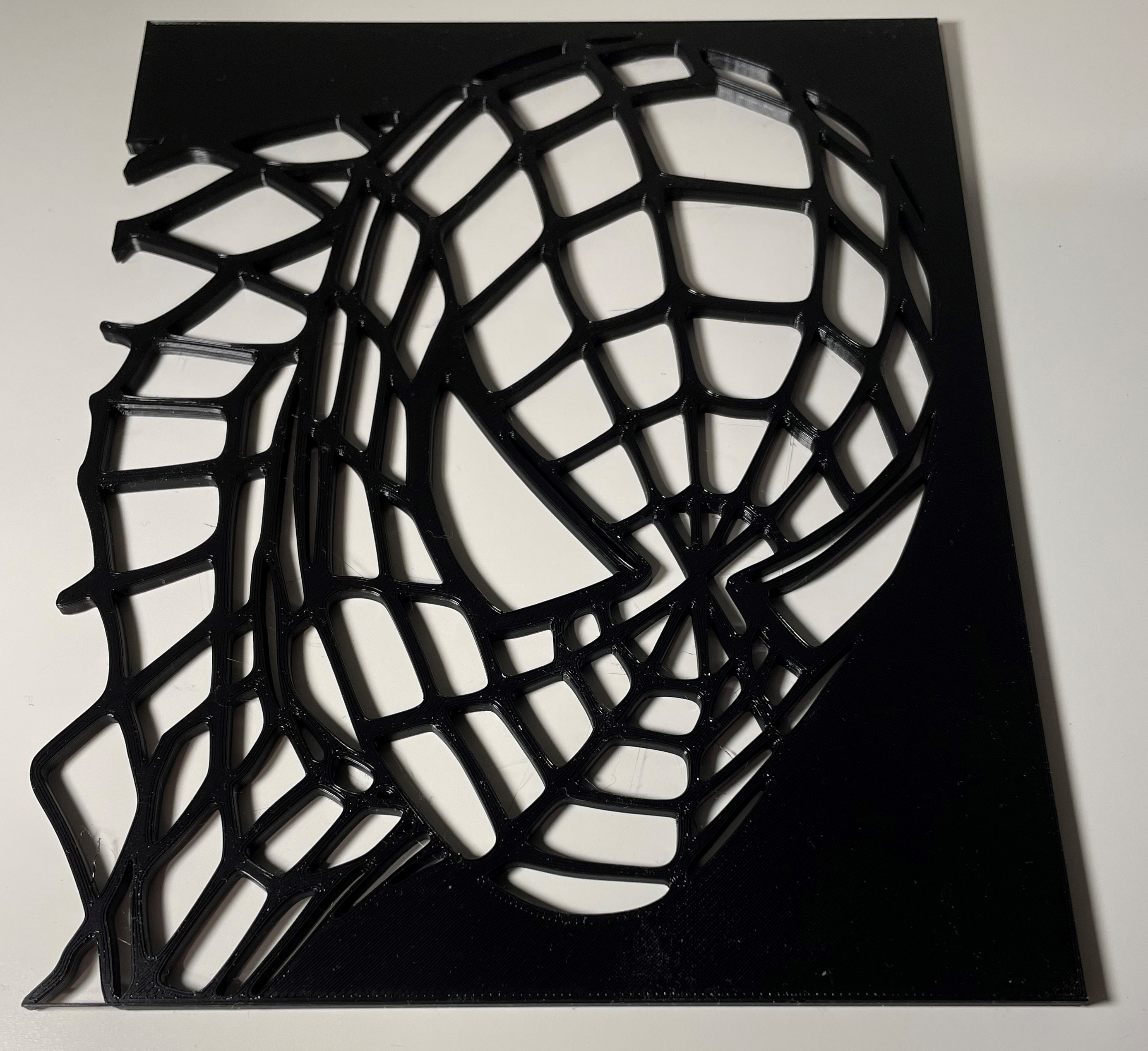 Another Spiderman on the Wall