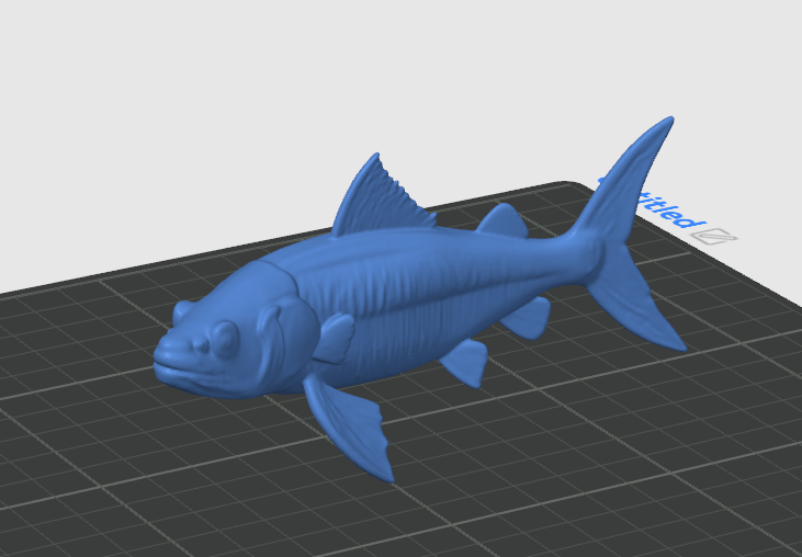 Carpa Fish