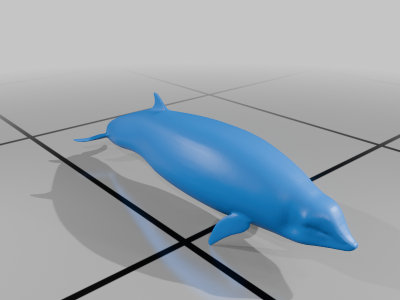 Cuviers Beaked Whale