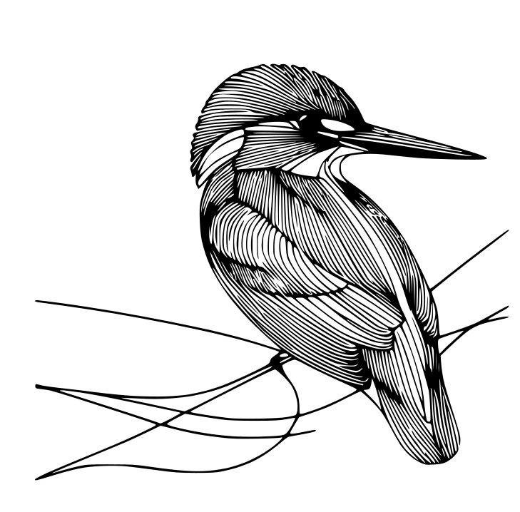 Six wall arts: Kingfishers