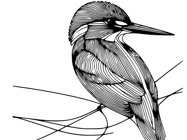 Six wall arts: Kingfishers