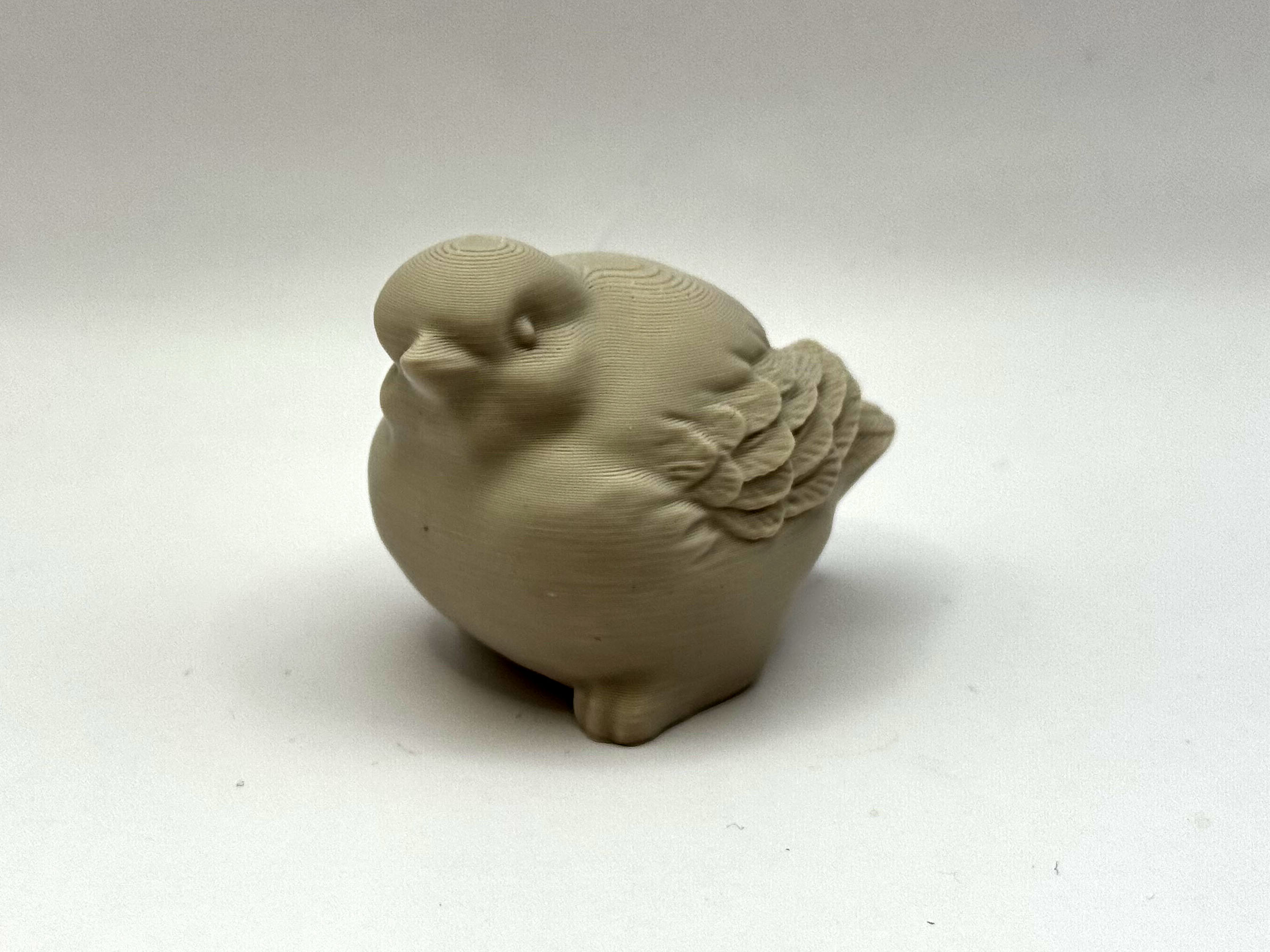 Chubby Bird