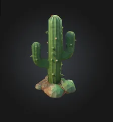 Cactus Cactus