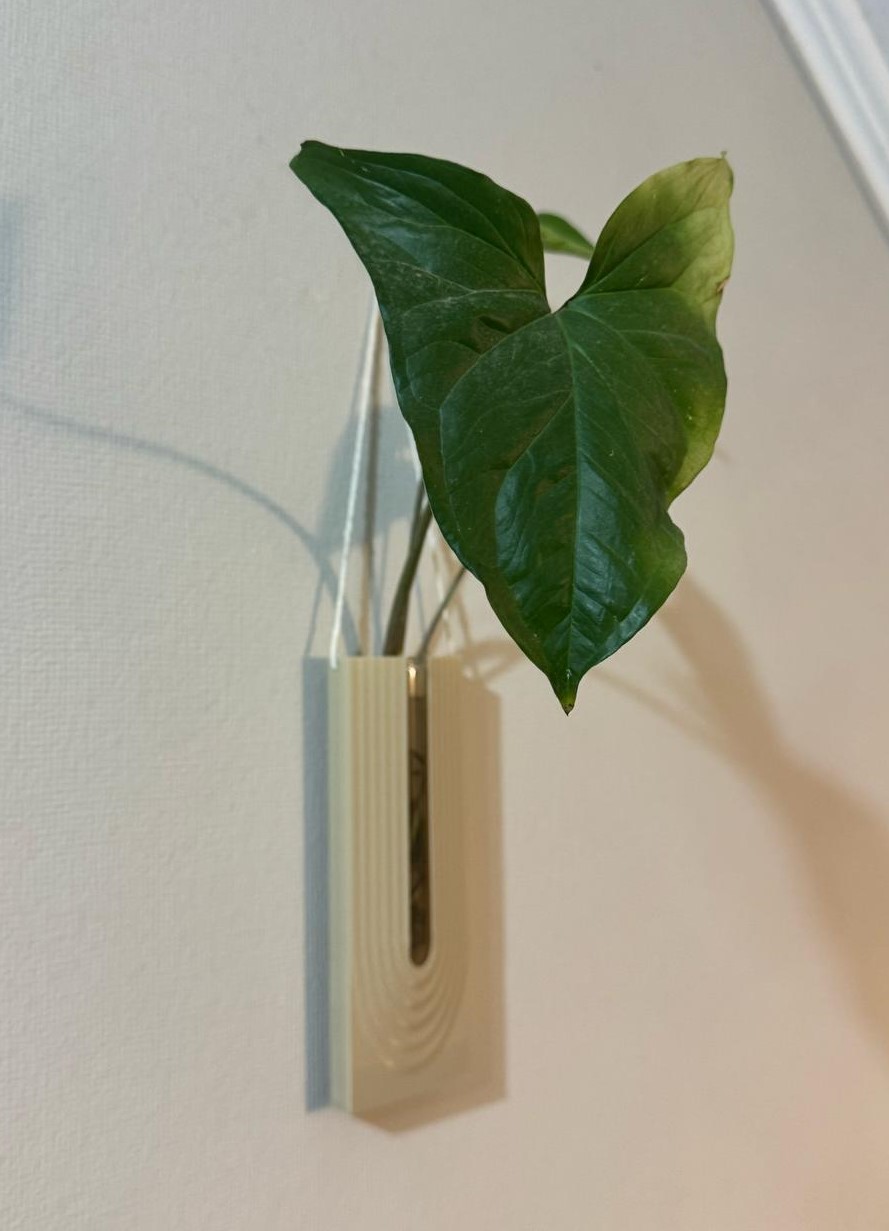 Test tube holder - nordic design - cuttings.