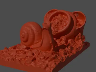 conch shell 3d scan by Gunner Igo | Download free STL model ...
