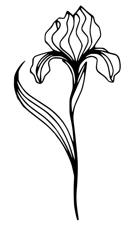 Flowerpot decoration: Iris