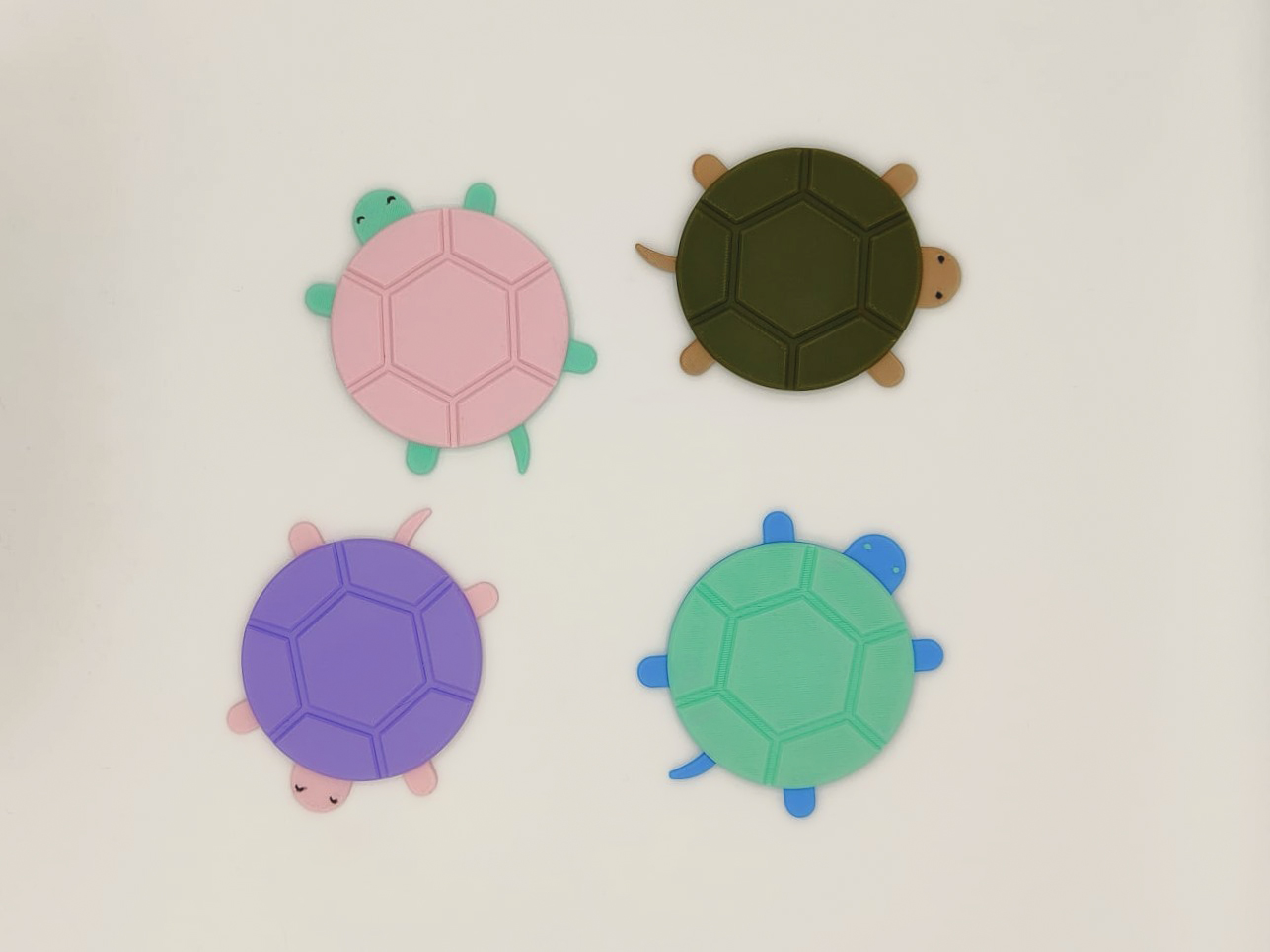 Turtle Coaster