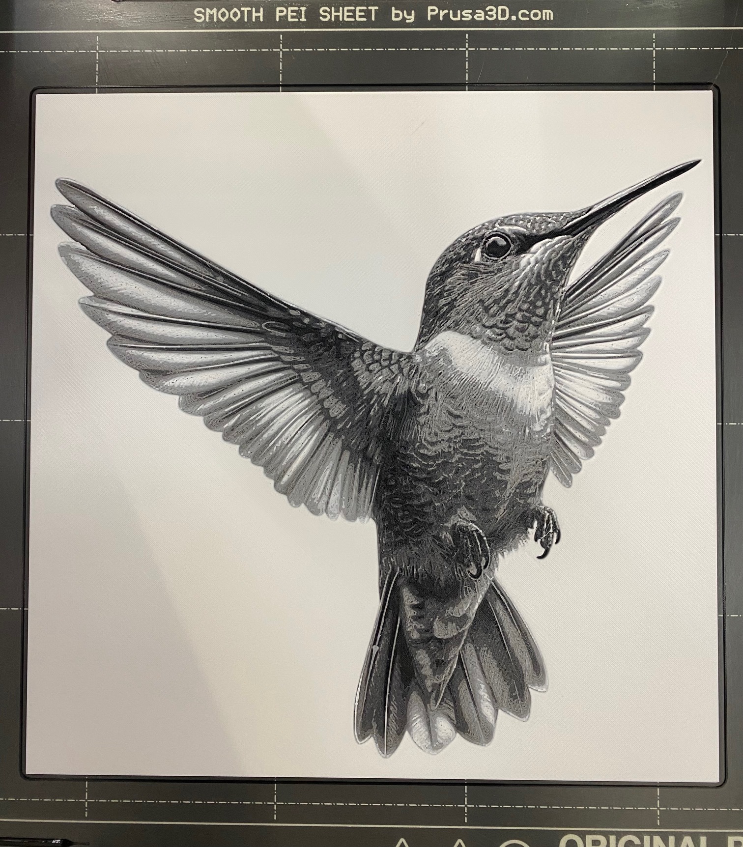 Hummingbird #7 - Hueforge