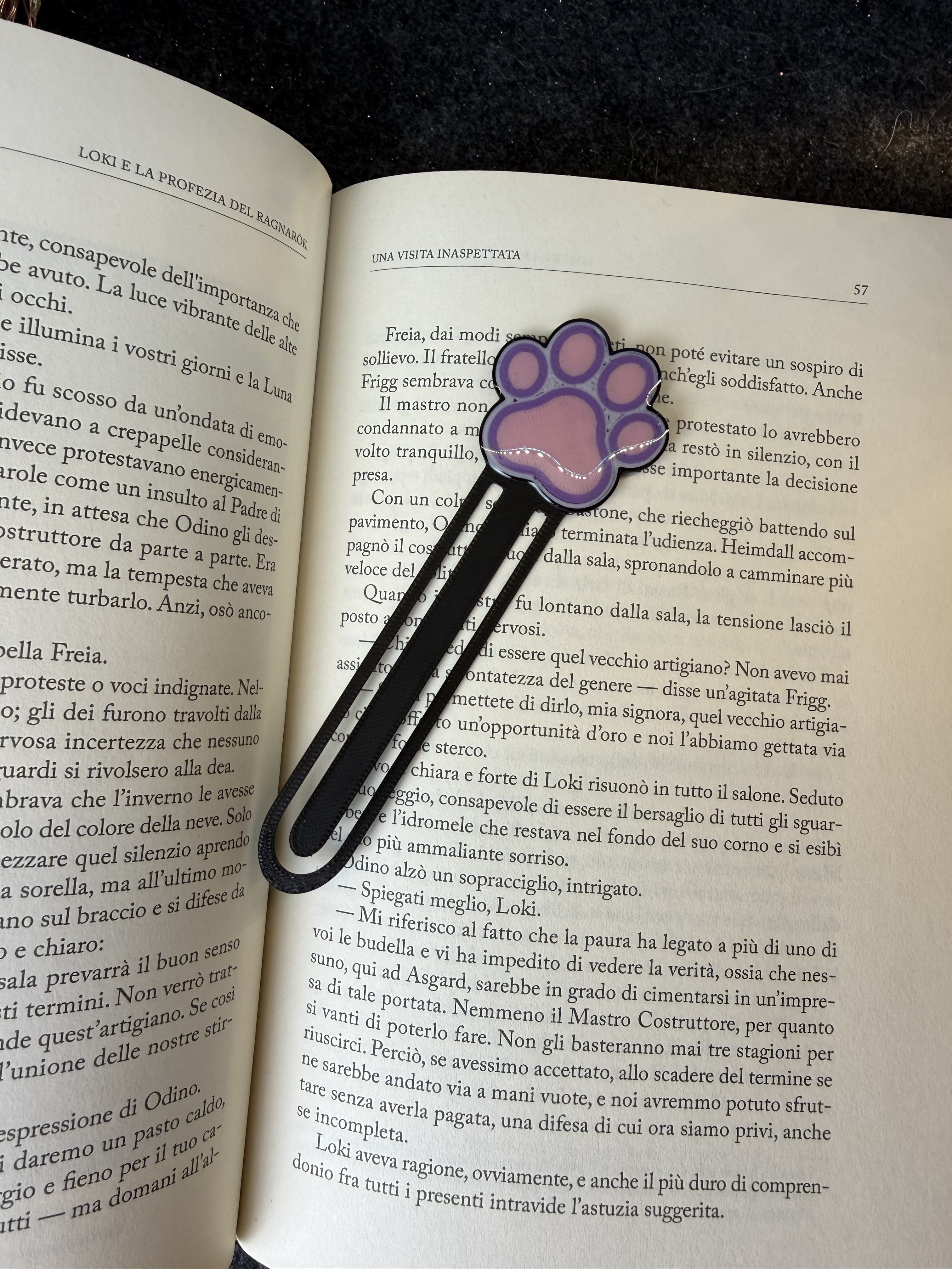bookmark footprint Cat