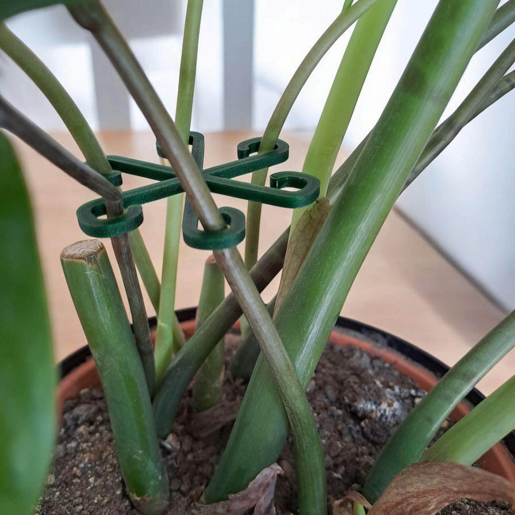 Stable Plant Support Hooks