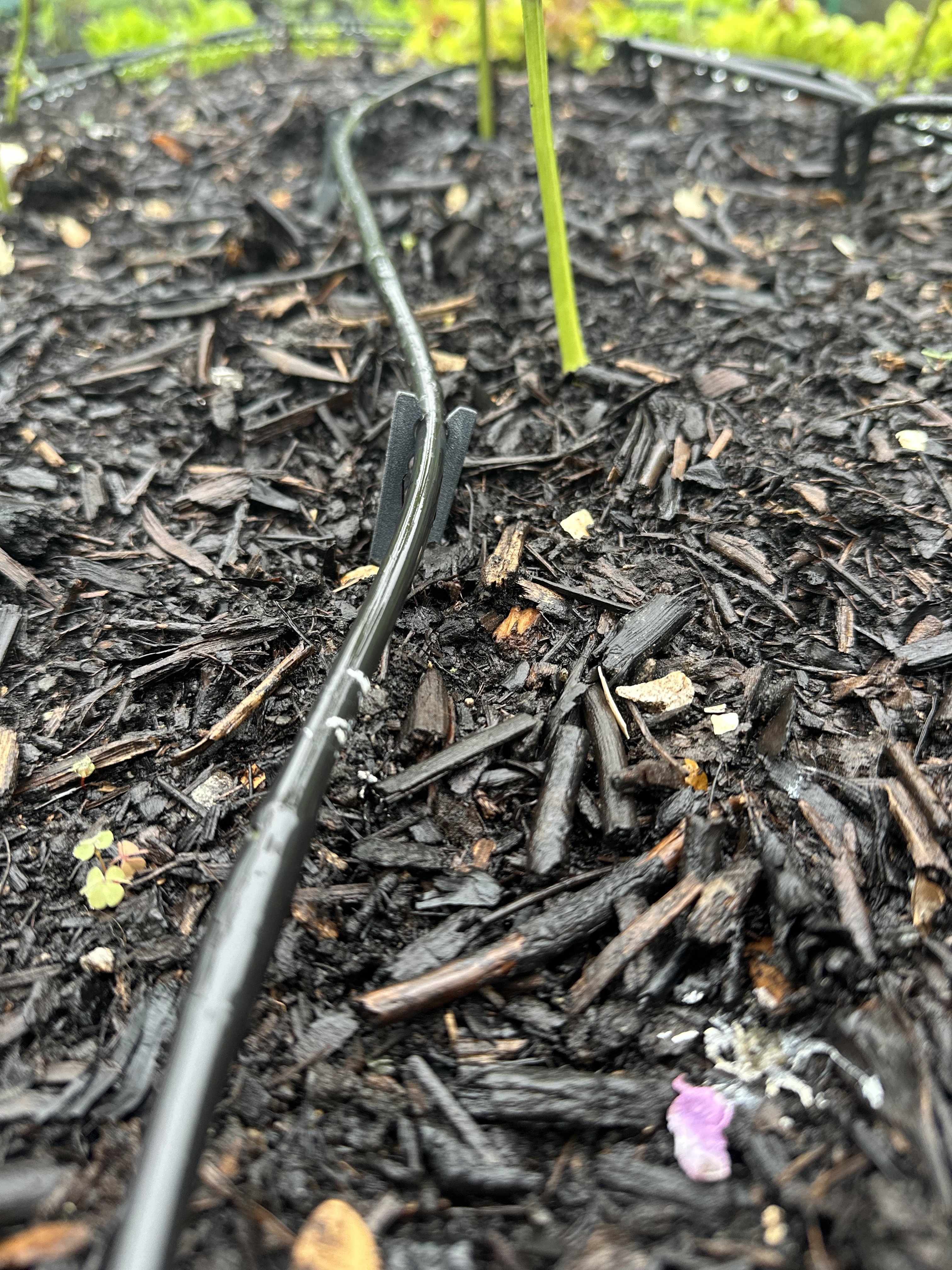 Garden Drip Stake for Drip Irrigation