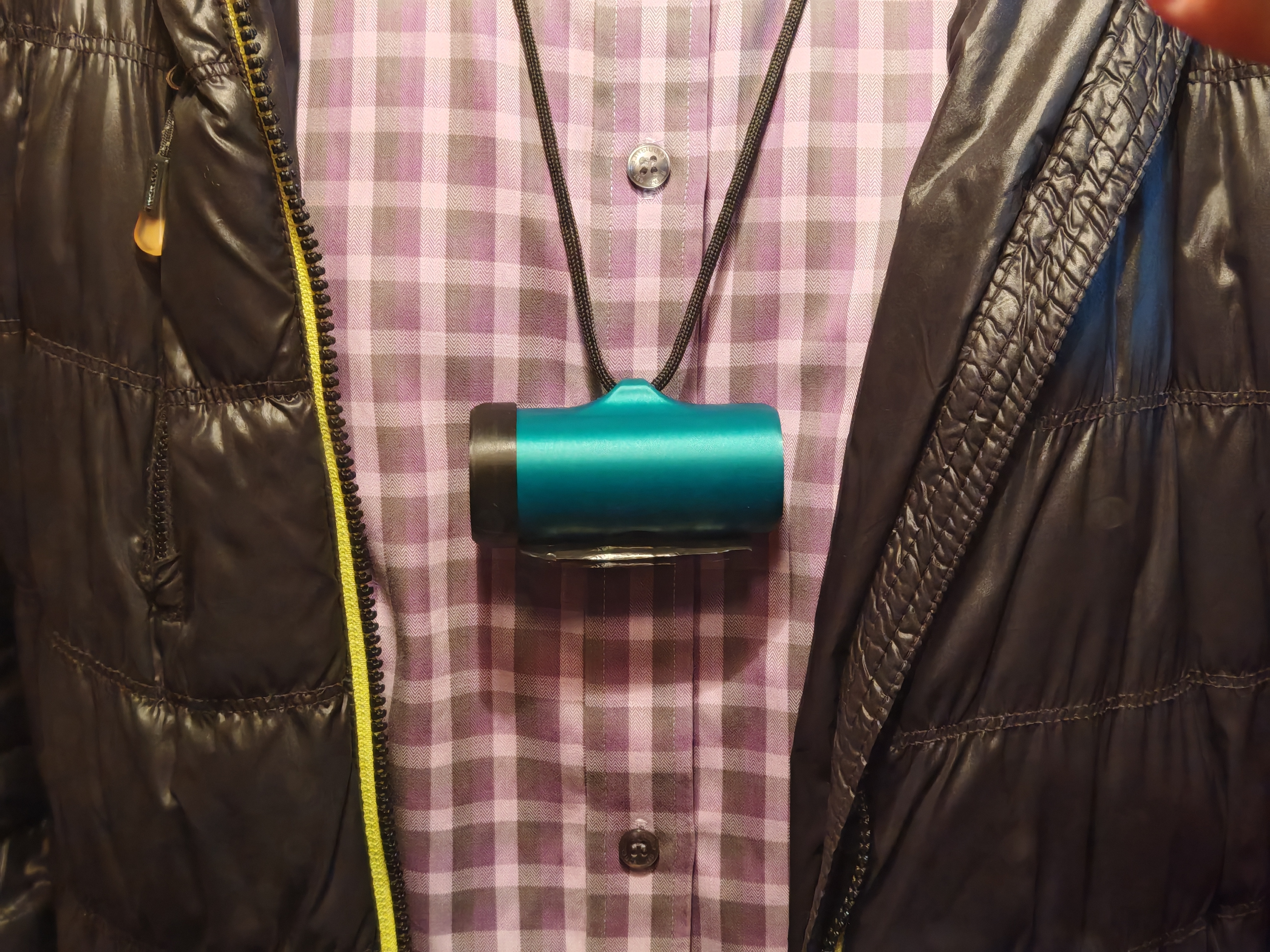 Dog bags holder with a bags retracting feature